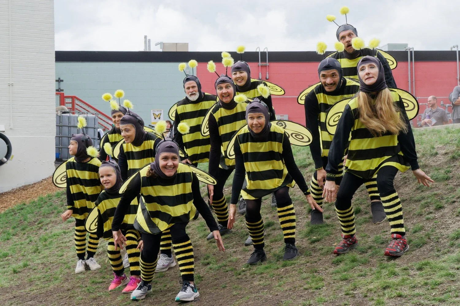 Bee-Dance-4.jpg