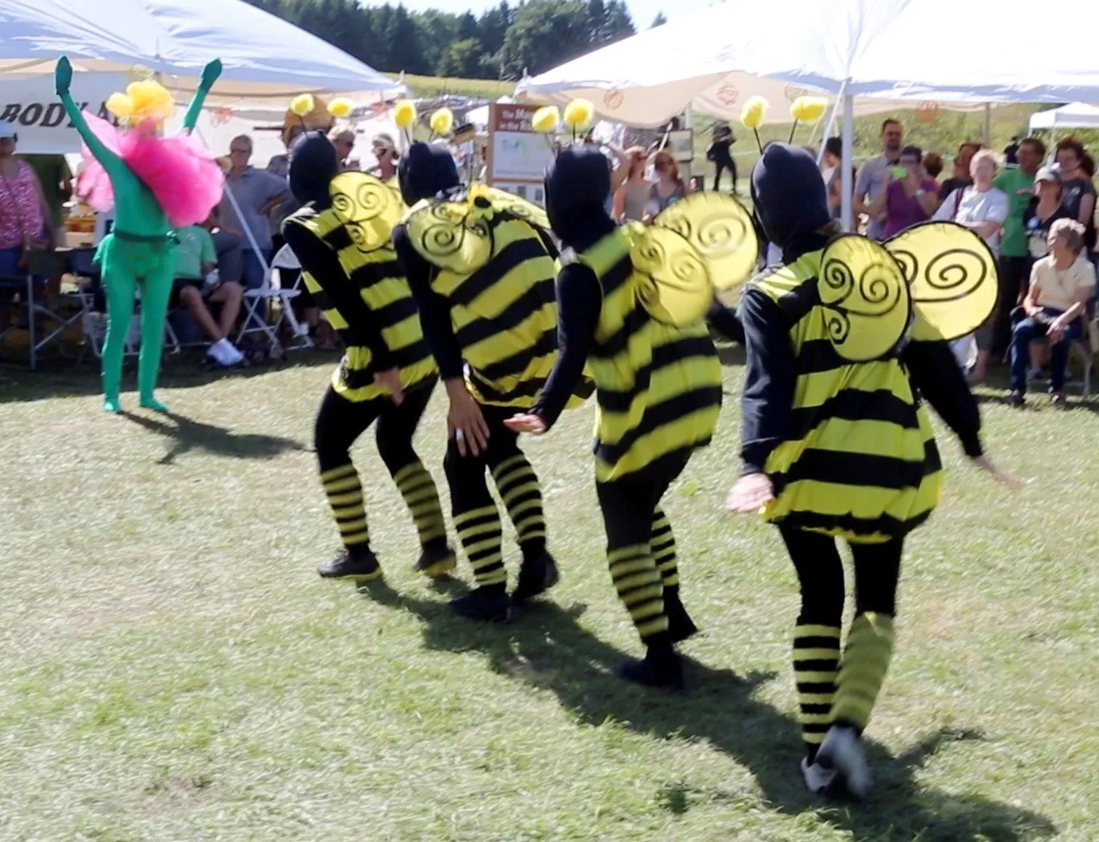 Bee-photo-5.jpg