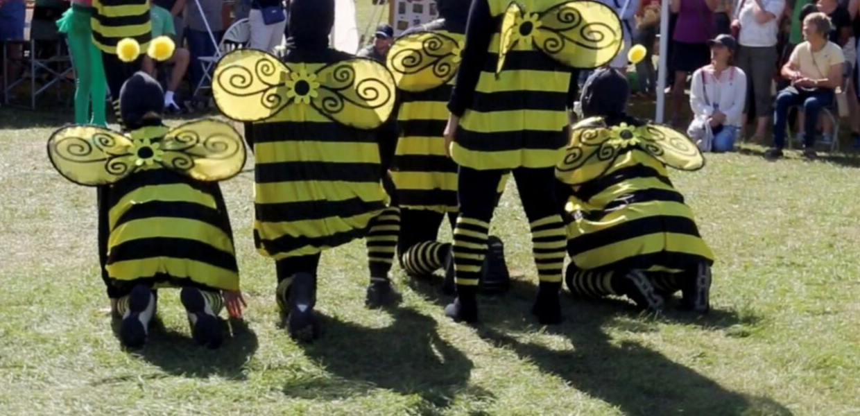 pollination-7.png