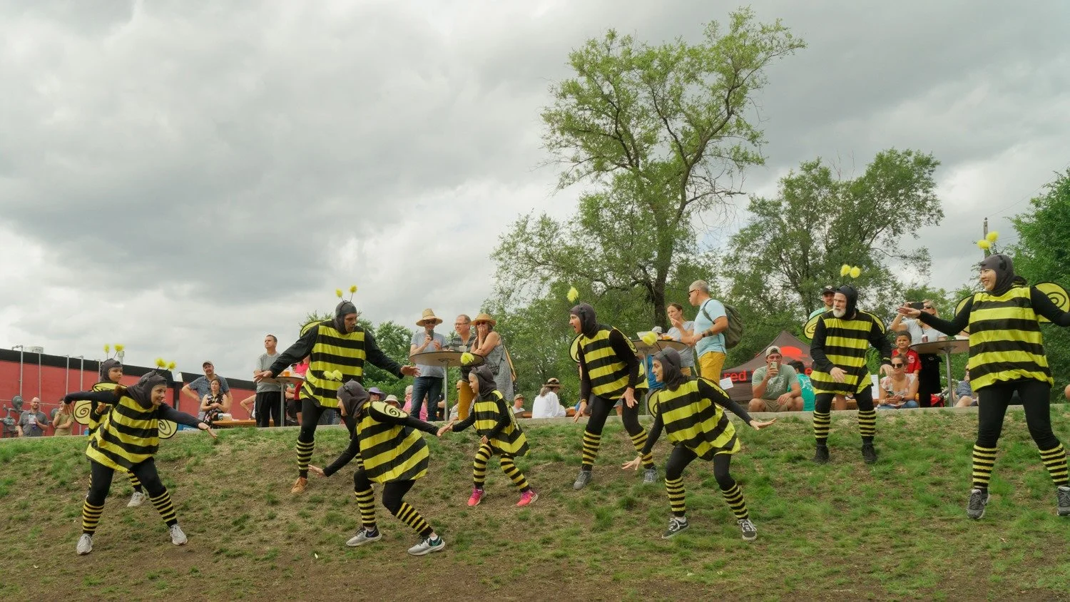 Bee-Dance-5.jpg