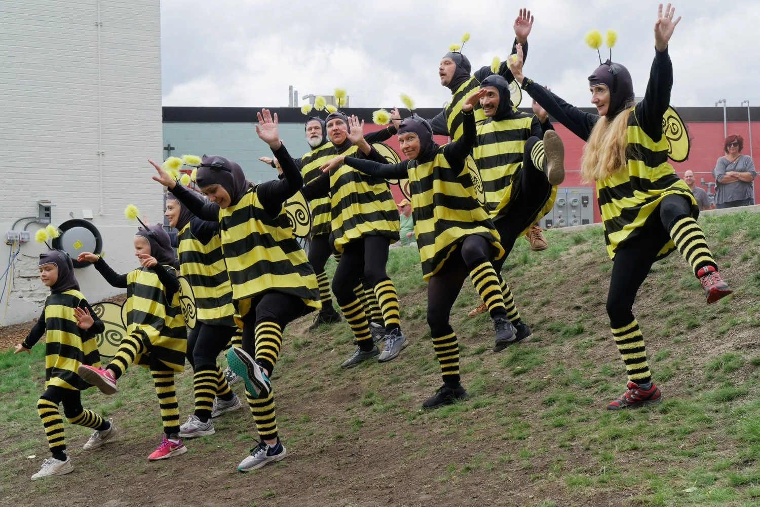 pollination-Bee-Dance-1.jpg
