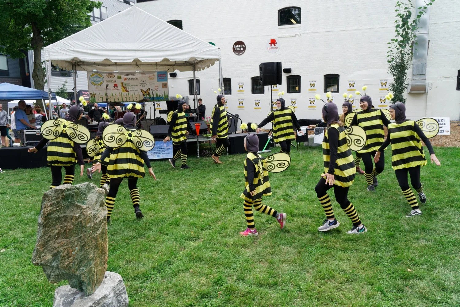 pollination-Bee-Dance-6.jpg