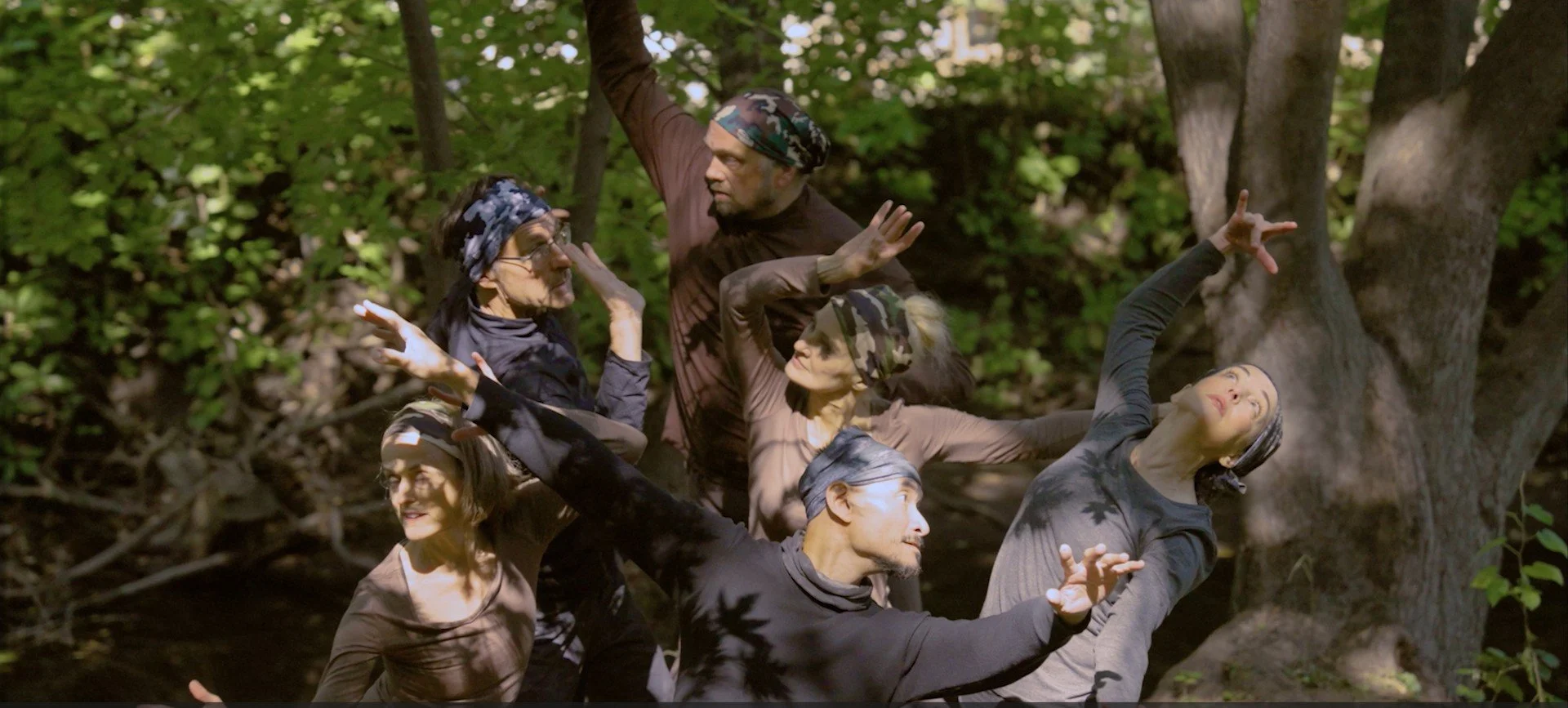 trees-group.jpg