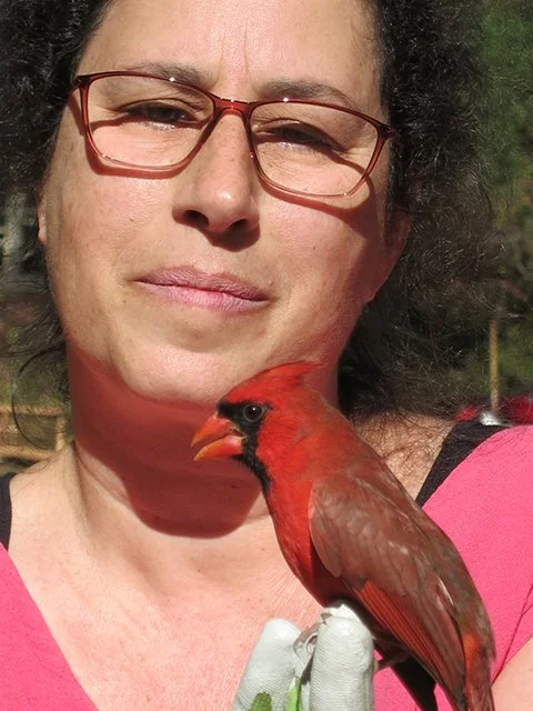 Margie Labadie MFA, Artist