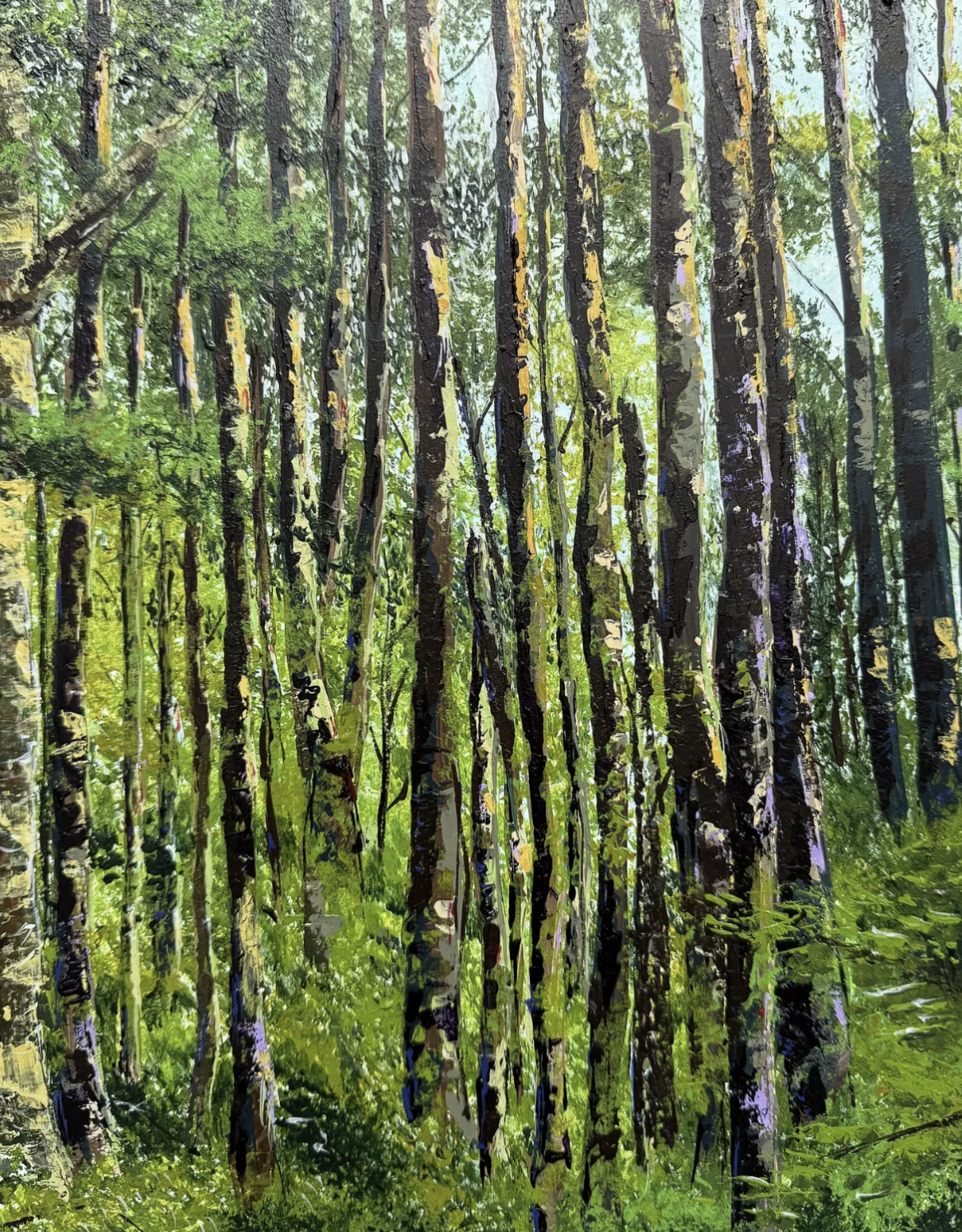 Schooner Bay Woods Note Cards