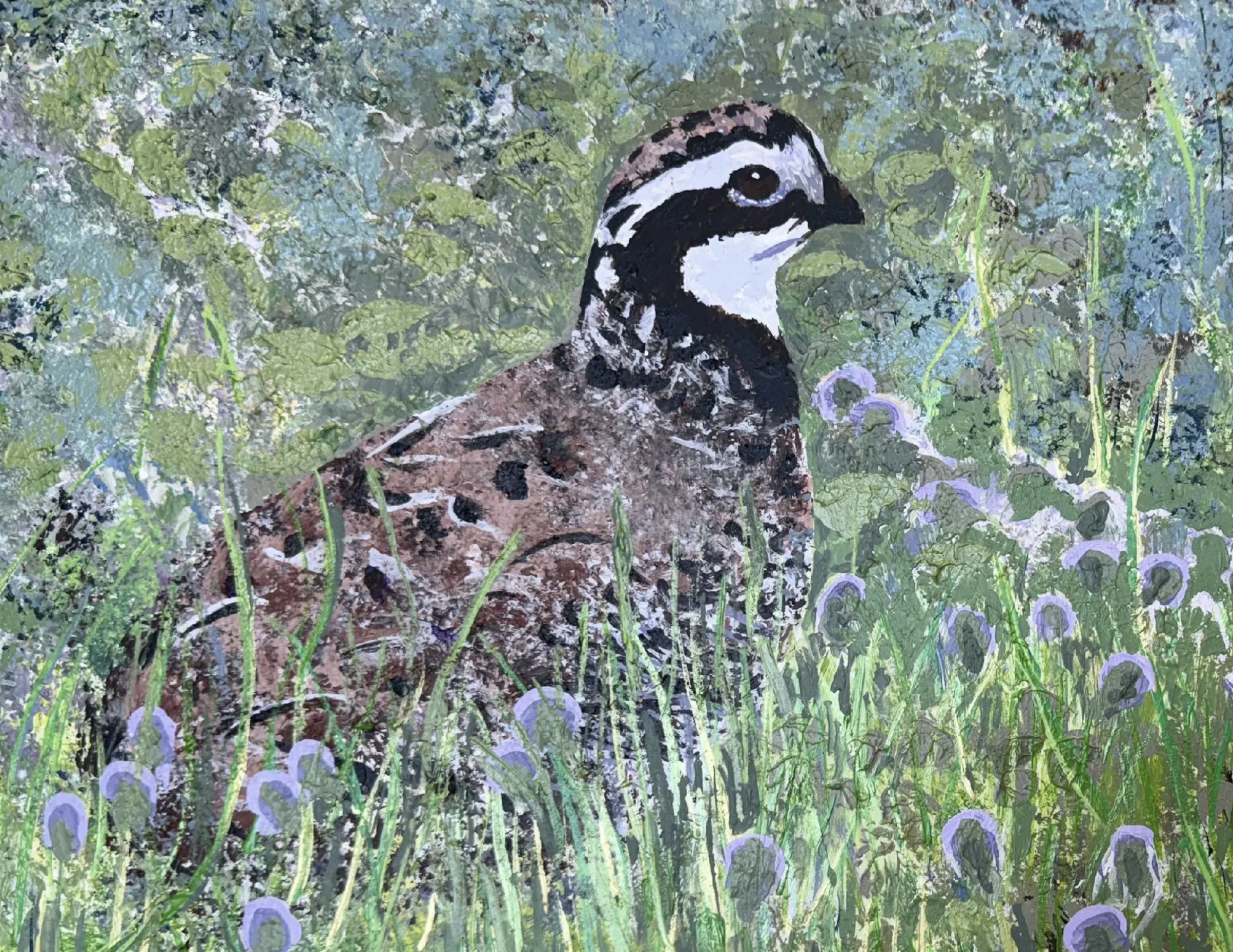 Assateague Island Bobwhite Note Cards