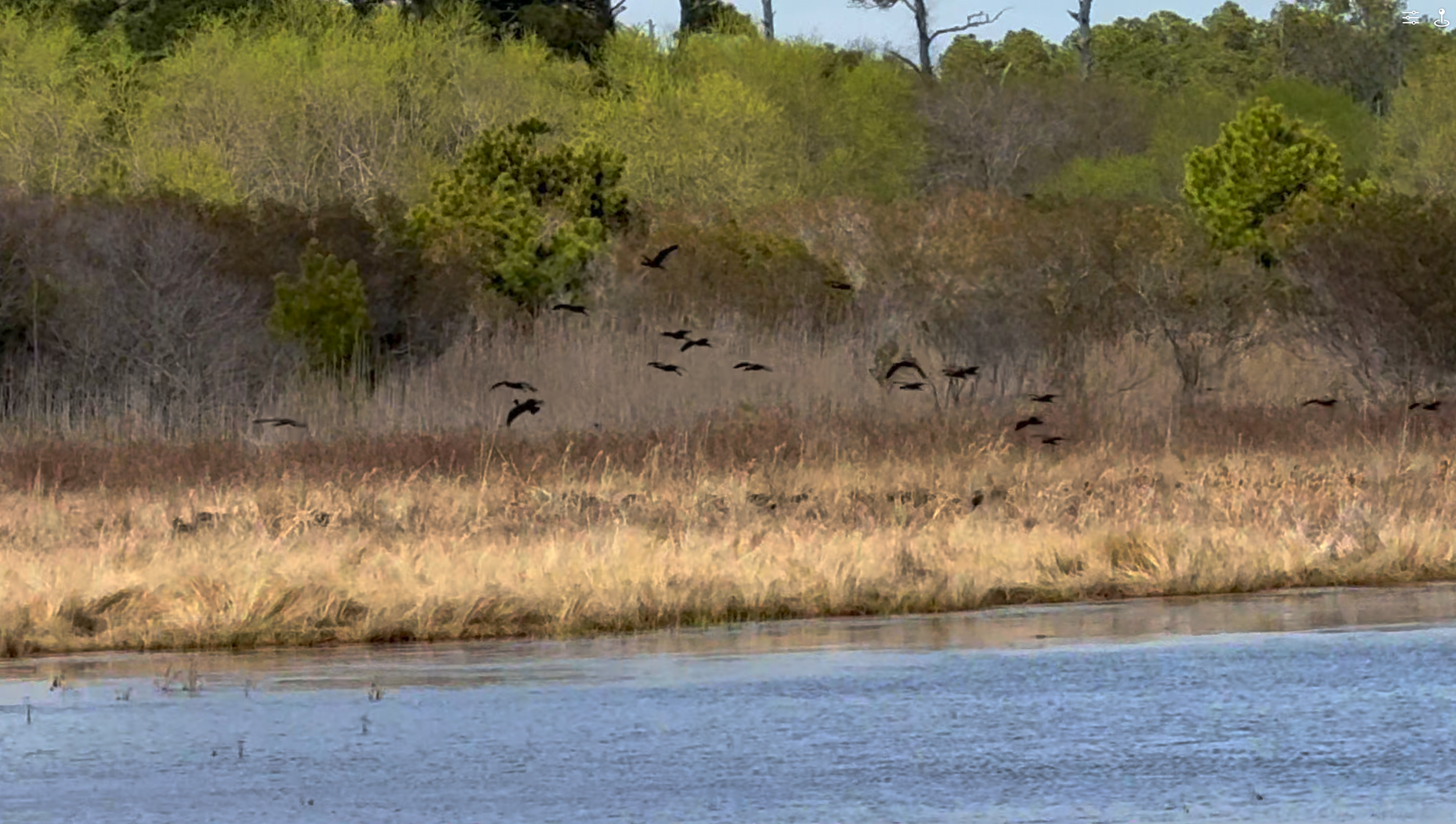 Screenshot 2026-03-23 at 6.47.46 PM.png