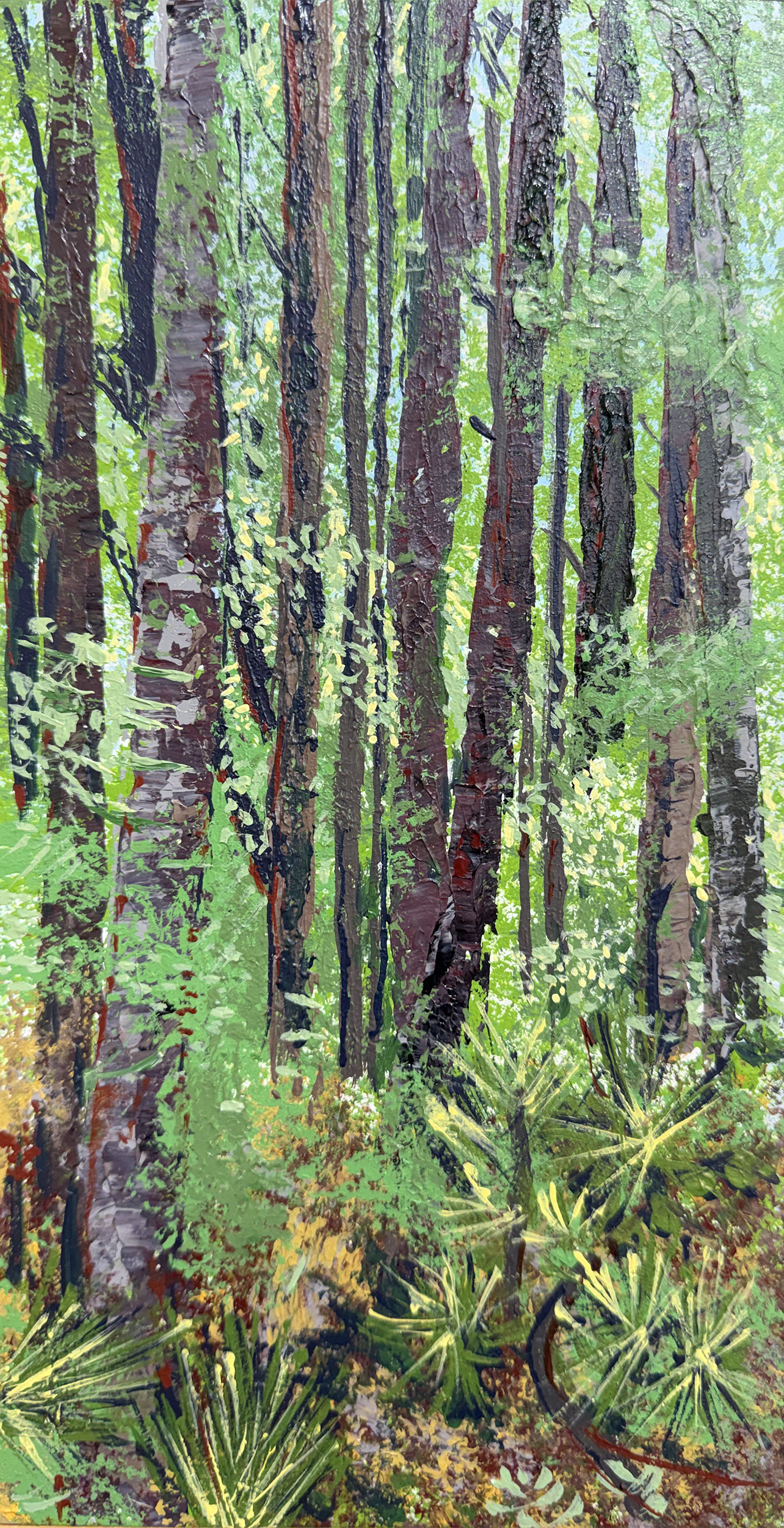 Accomack Sunny Woods