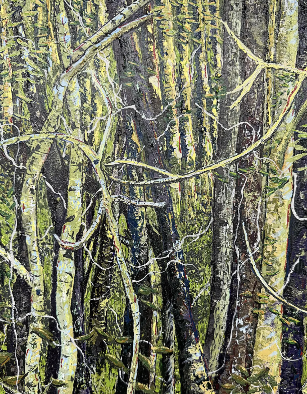 Tangled Woods Note Cards