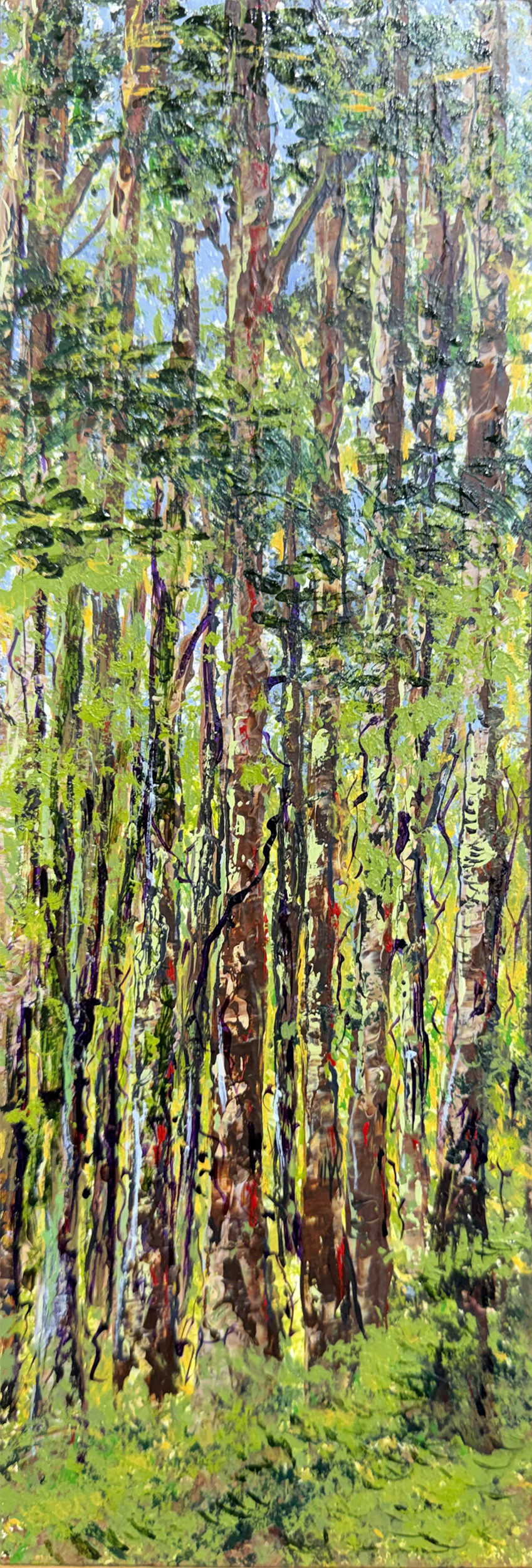 Forest Heights-2500x849.png