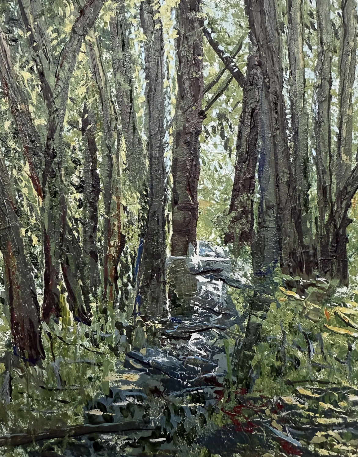 Deep Creek Woods Note Cards