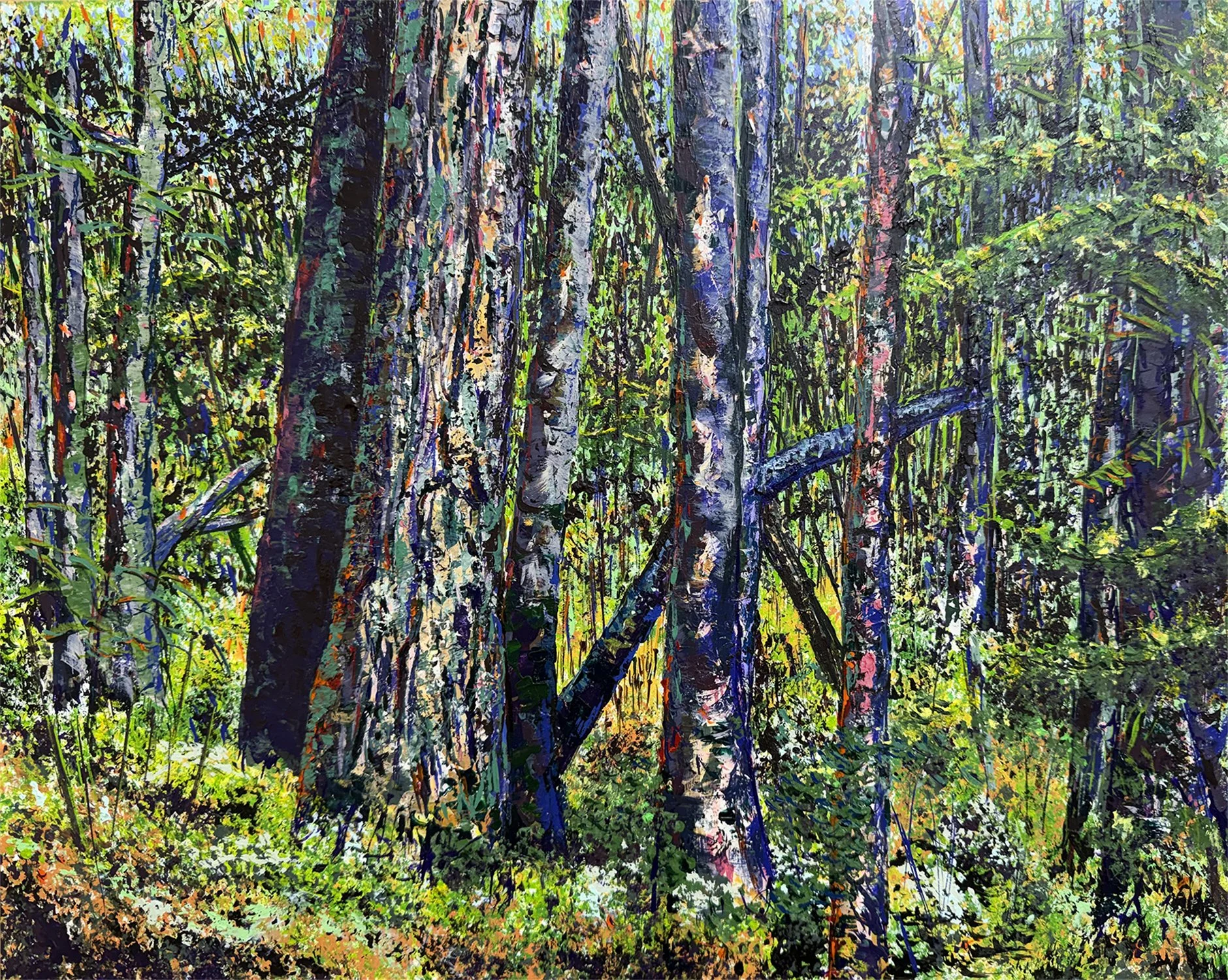 The Woods on Michael's Hill