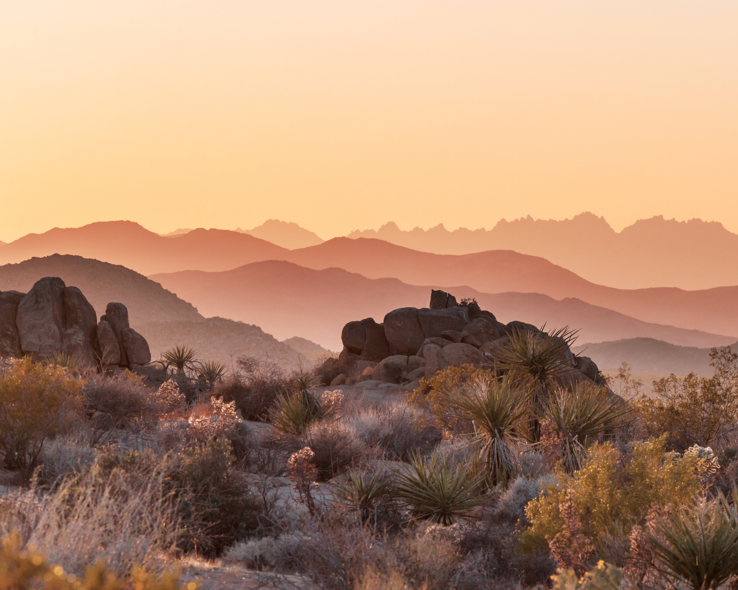 Sunset over a desert landscape with rocky formations and sparse desert plants.