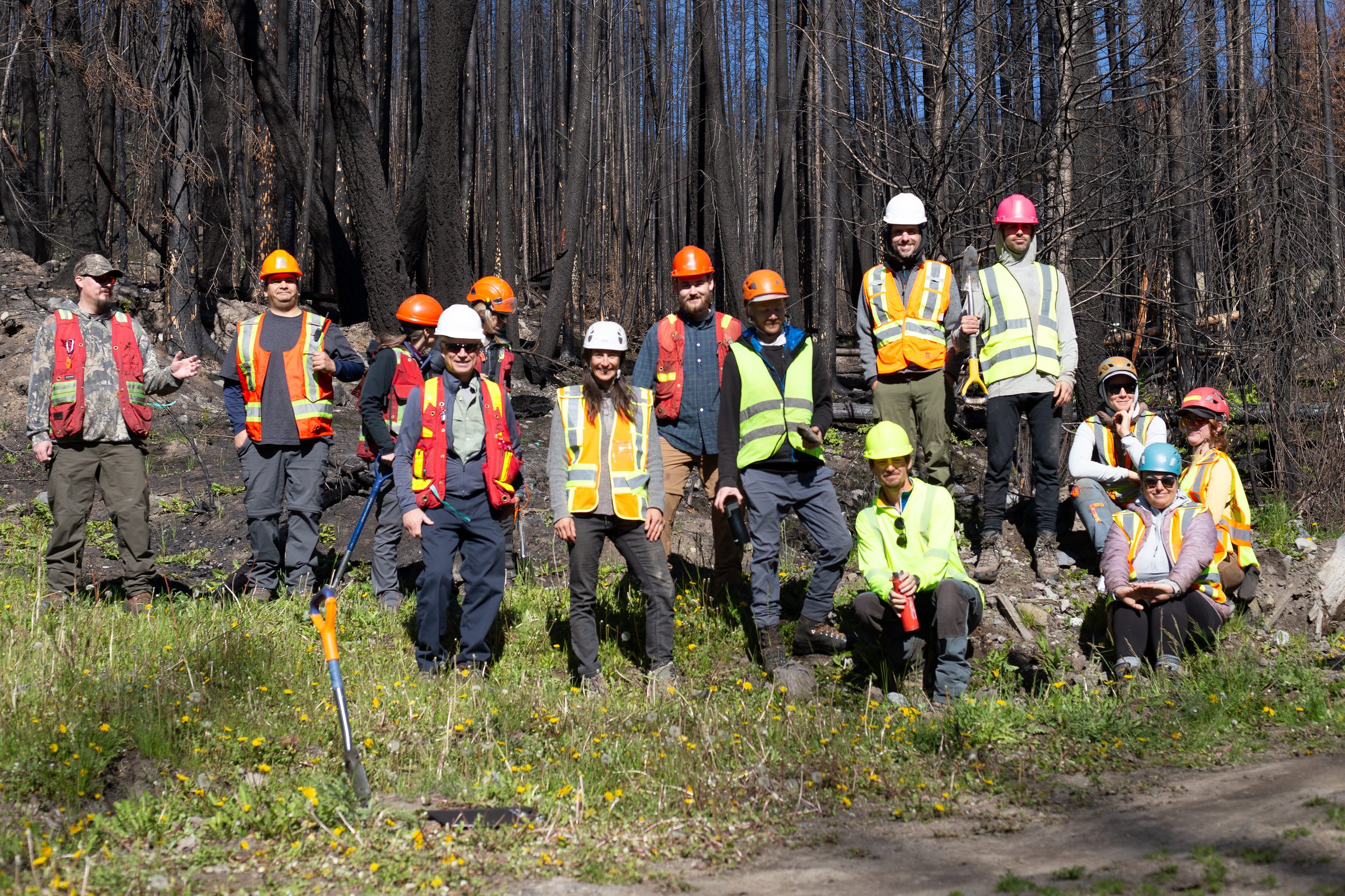 Group of people in safety gear and helmets standing in front of a burned forest, holding tools for forest restoration.