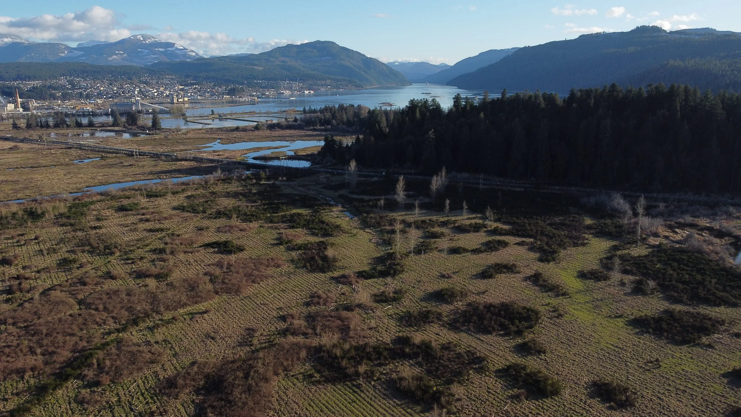 Aerial view of a river flowing through a valley with mountains in the background, a small town on the left side, and farmland with scattered trees in the foreground.