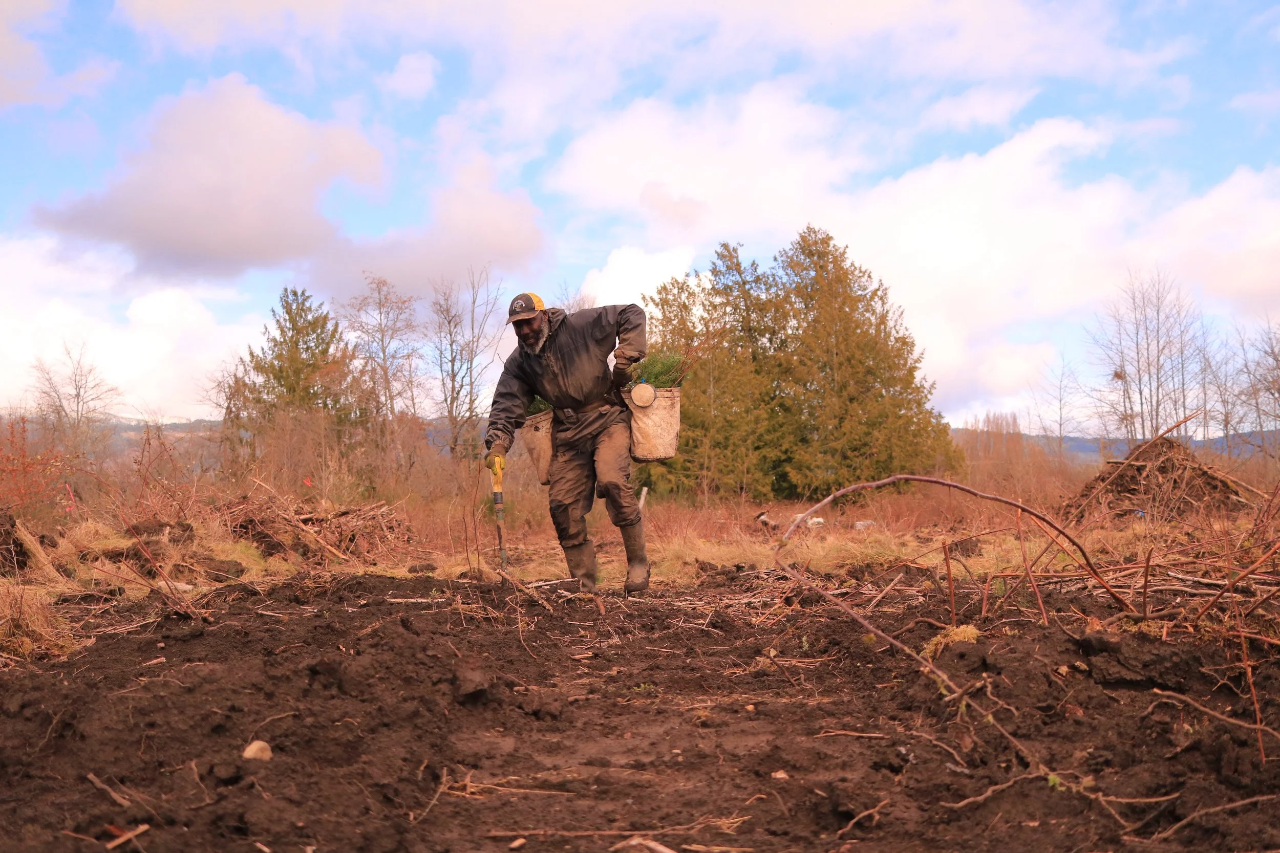 A man planting a seedling in a cleared field during daytime, with trees and a partly cloudy sky in the background.