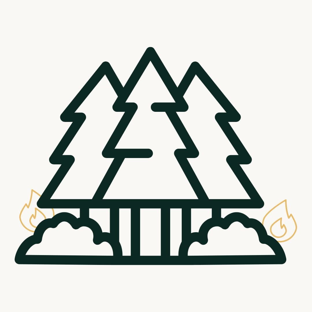 Line drawing of three evergreen trees with bushes at the base, surrounded by a faint outline of flames.