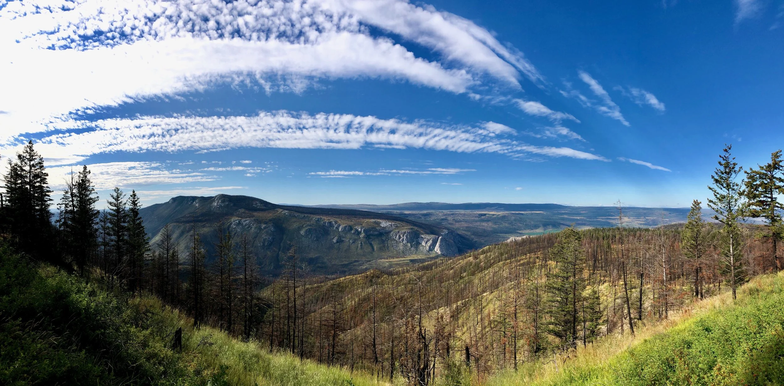 A scenic mountain landscape with lush green trees in the foreground, rugged mountains in the background, and a vibrant blue sky with scattered white clouds.