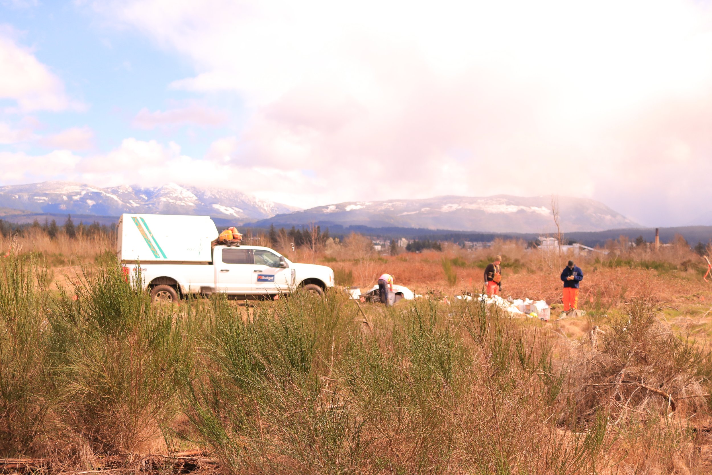 Field with tall grass, a white utility truck with a logo, several workers in safety gear, and mountains in the background under partly cloudy sky.