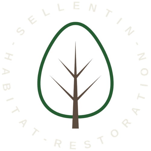 Logo with a tree in the center surrounded by a green outline, and the words 'Vallechelt - Sellentin - Notar' and 'Lit - Restor' circling around it.