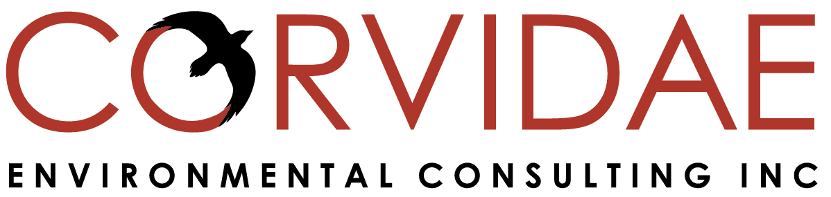Text logo with the word 'CORVIDAE' in large red letters and a black silhouette of a bird above the text.
