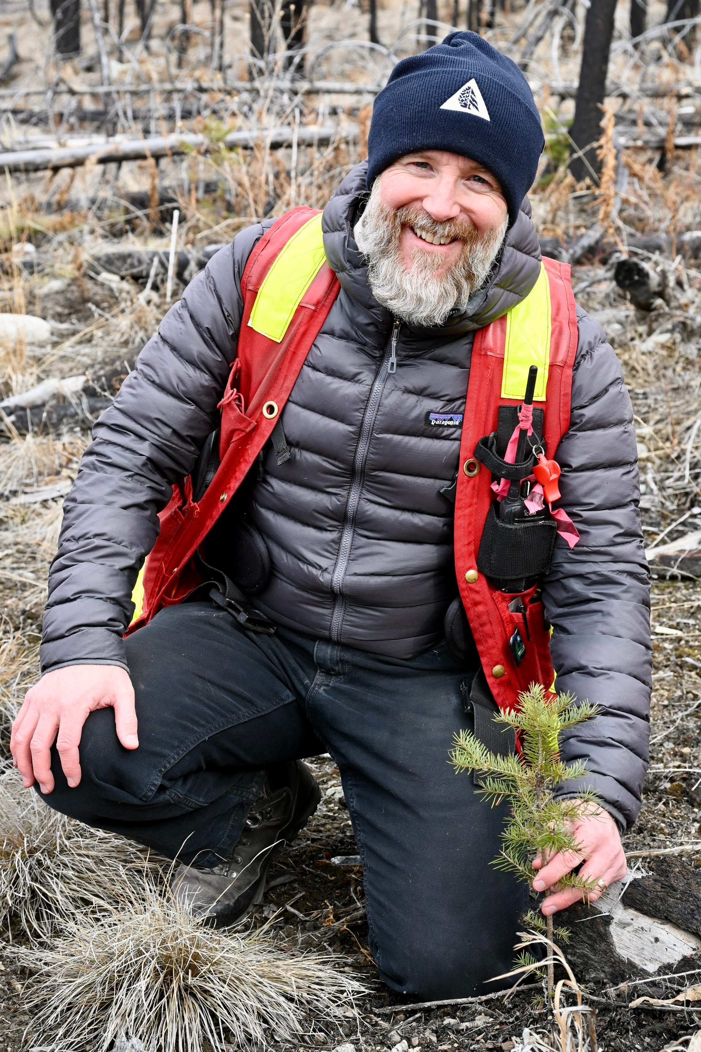 Wesley Brookes with a gray beard, wearing a navy beanie, black puffy jacket, and black pants, kneels on the ground in a wooded area holding a small pine tree.