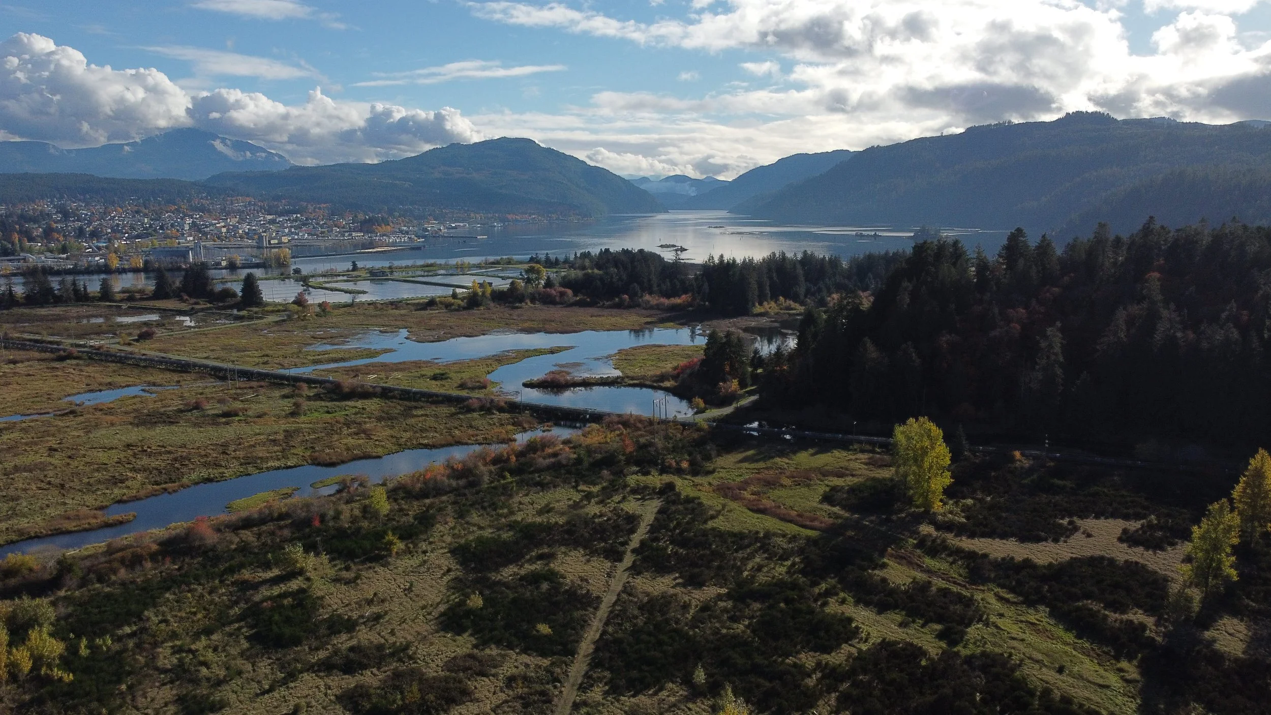 Vancouver Island Drone shot of water, trees, seas and sky