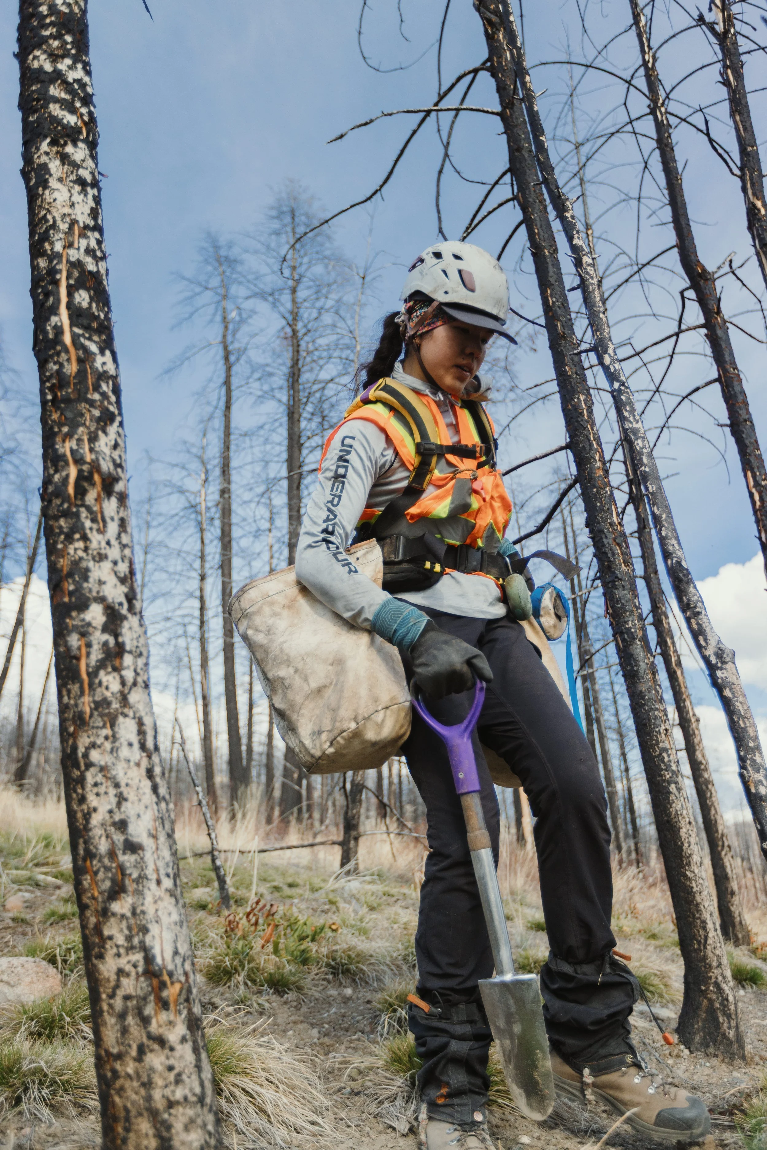 A person in forest attire, including a helmet and high-visibility vest, holding a shovel, surveying and restoring a burnt forest area with charred trees.