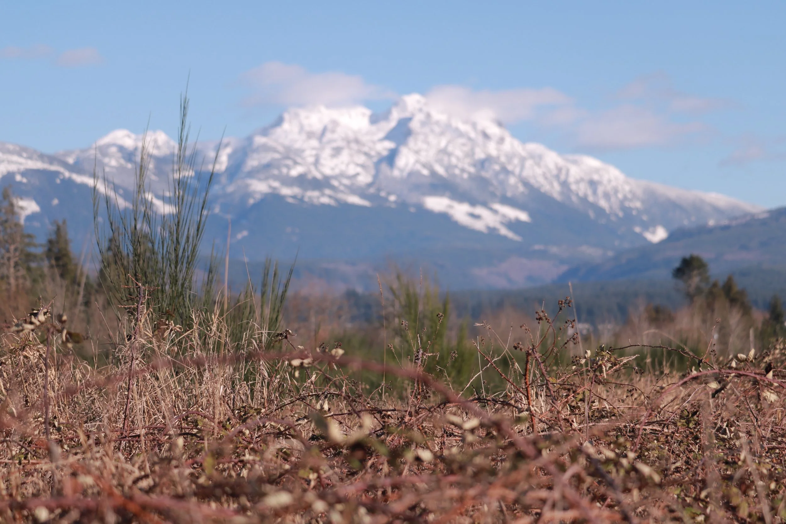 Snow-capped mountains in the distance with brown and green vegetation in the foreground under a blue sky.