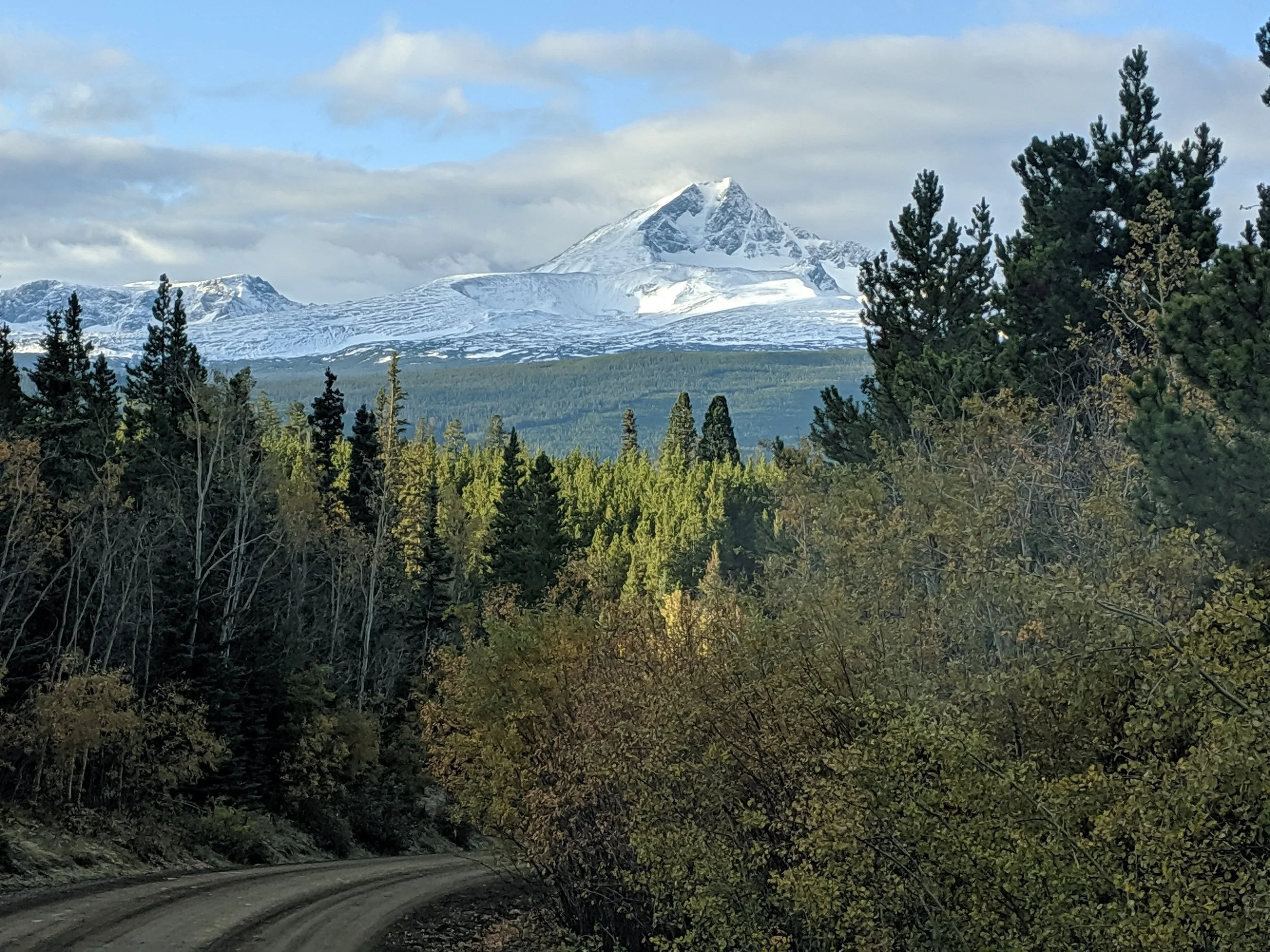 A dirt road winding through a dense forest with evergreen and deciduous trees, leading toward snow-capped mountains under a partly cloudy sky.