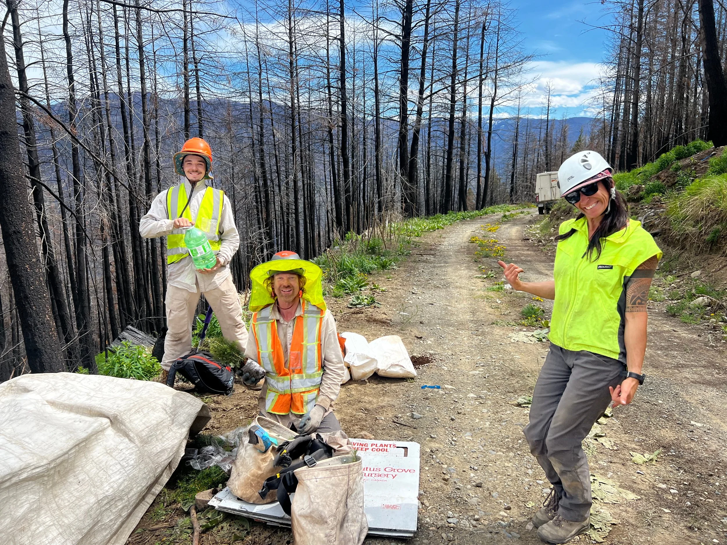 Three people in safety gear working outdoors on a trail in a forest area, with burnt trees and mountains in the background, smiling and posing for the camera.