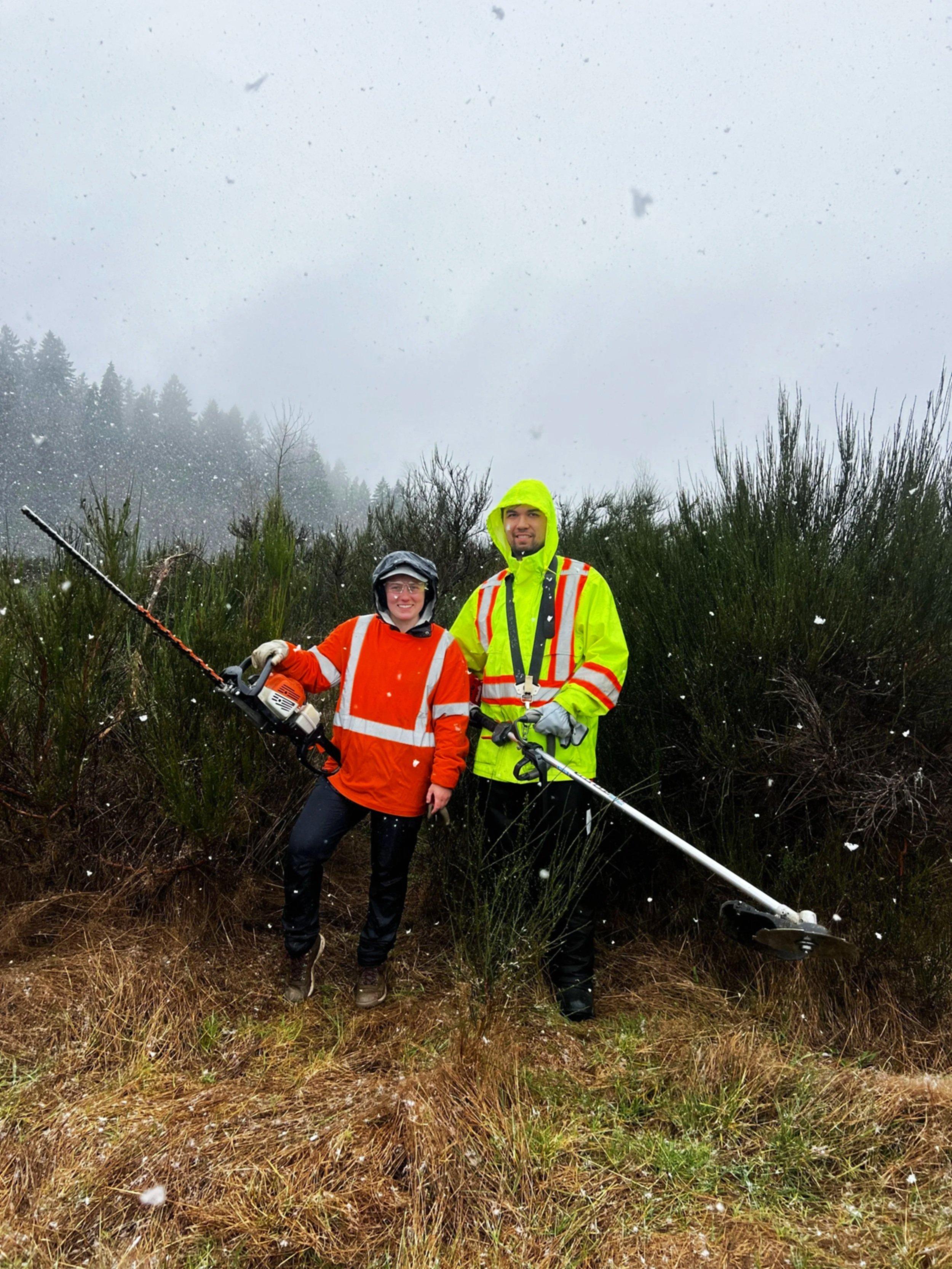Two people in safety gear, holding a bush trimming tool, standing outdoors in a snowy landscape with trees and bushes.