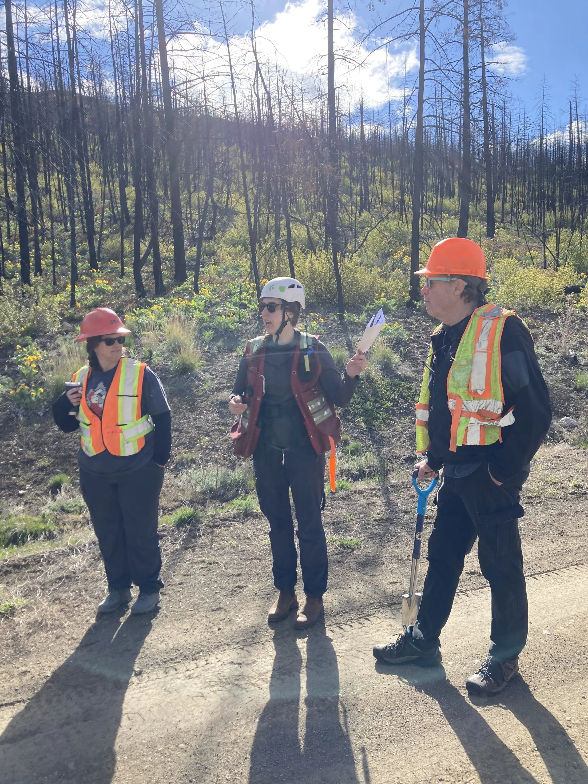 Three leads in hard hards and hi-vis vests training the tree planting and surveying crew
