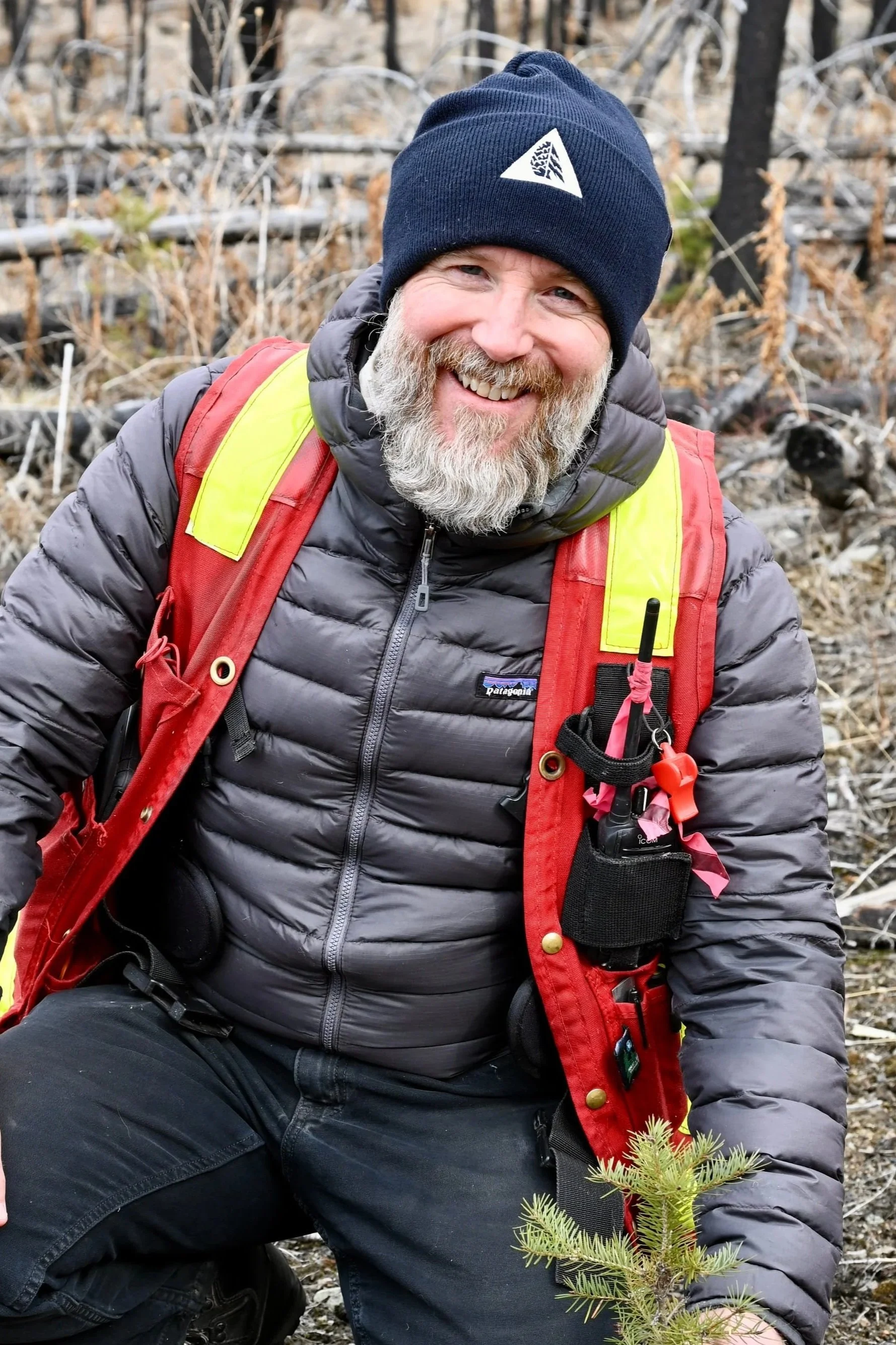 Wesley Brookes photo