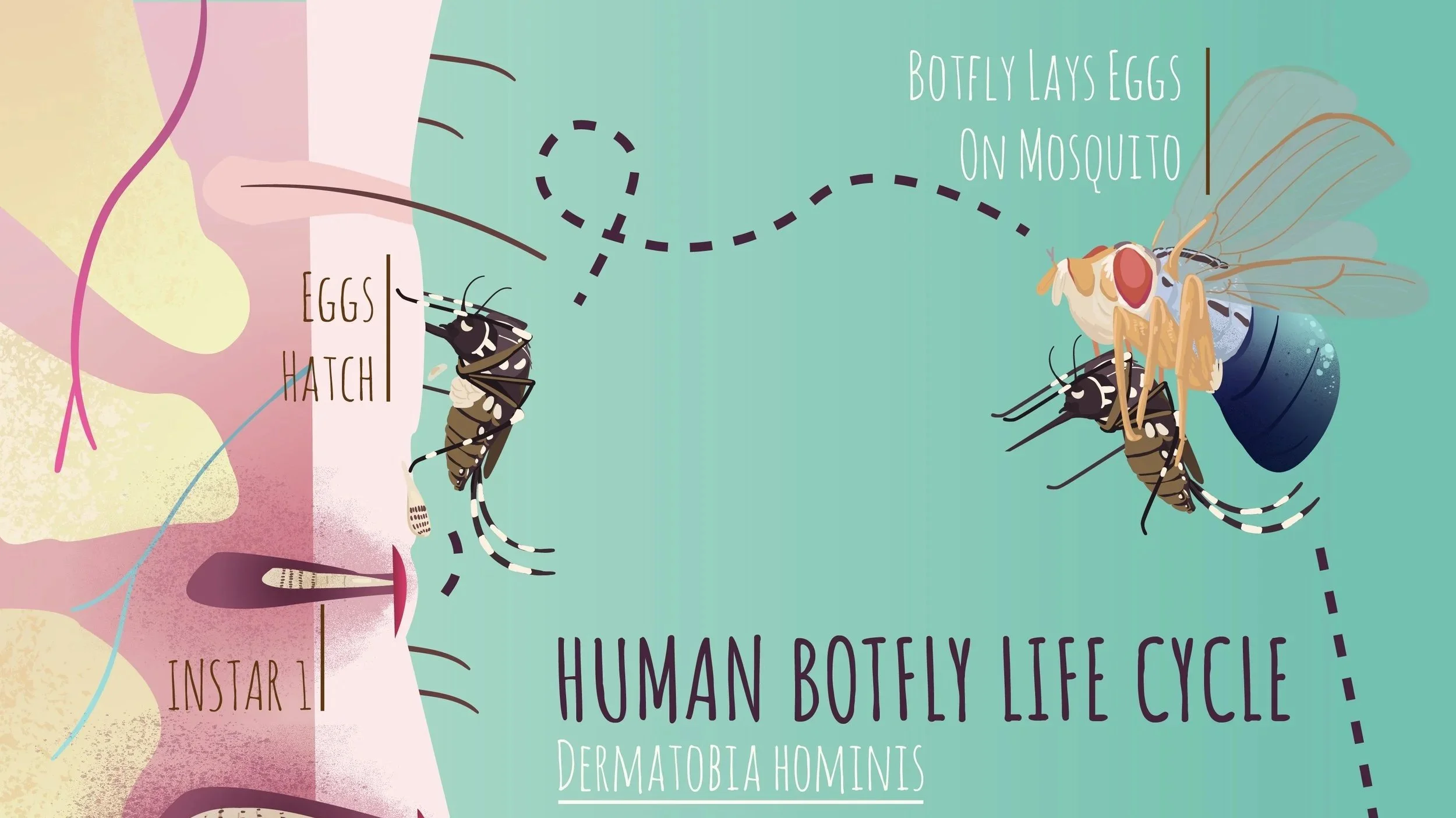 Science Illustration