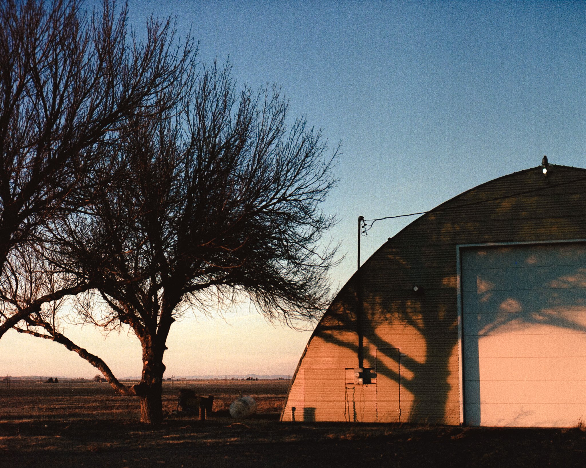 A leafless tree casting a shadow on a round barn during sunset or sunrise, with a wide-open rural landscape in the background.
