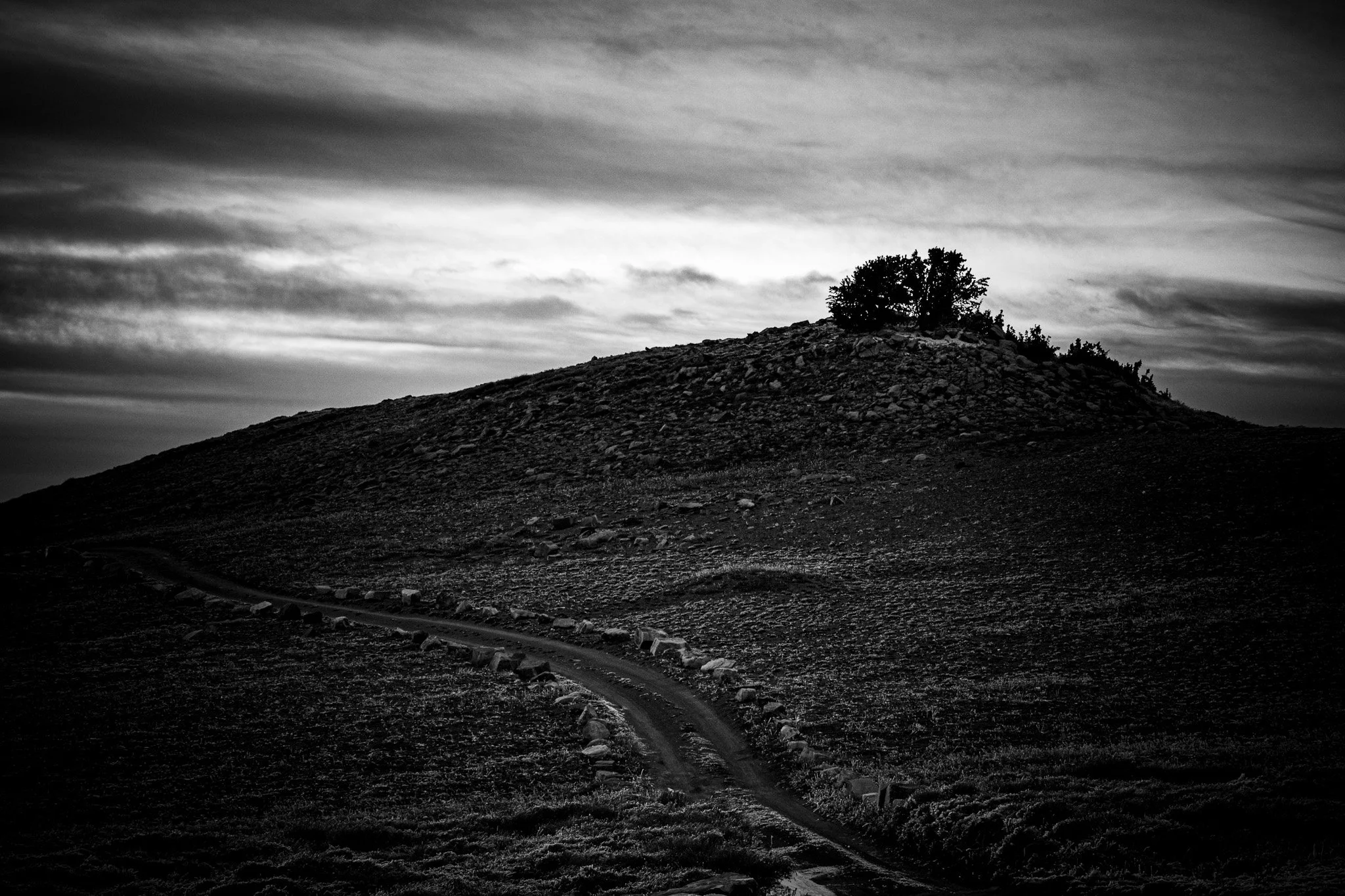 Black and white landscape photo of a hill with a small group of trees on top, a winding dirt path leading up the hill, and a cloudy sky overhead.