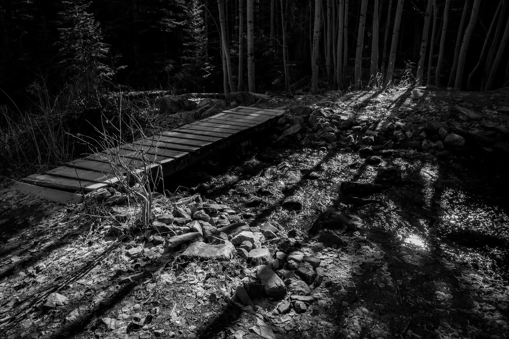A small wooden footbridge crosses over a rocky, shallow stream in a wooded area, with sunlight filtering through the trees.