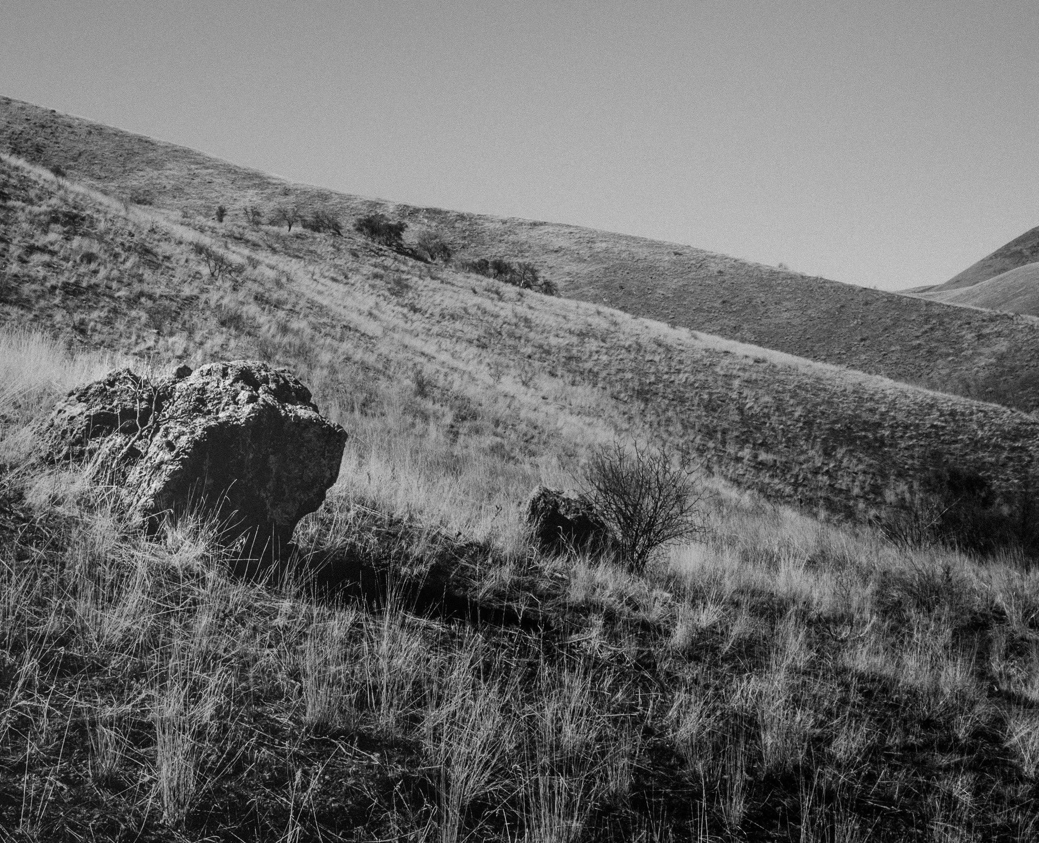 A black and white photograph of a hilly landscape with grasses, large rocks, and sparse trees.