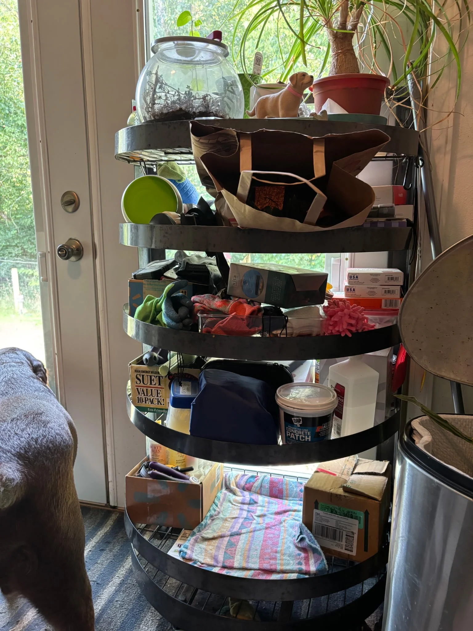 Indoor scene with a black metal circular shelving unit holding various items including a potted plant, a dog figurine, paper and cardboard boxes, cleaning supplies, and other household objects. There is a glass door in the background with trees visible outside.