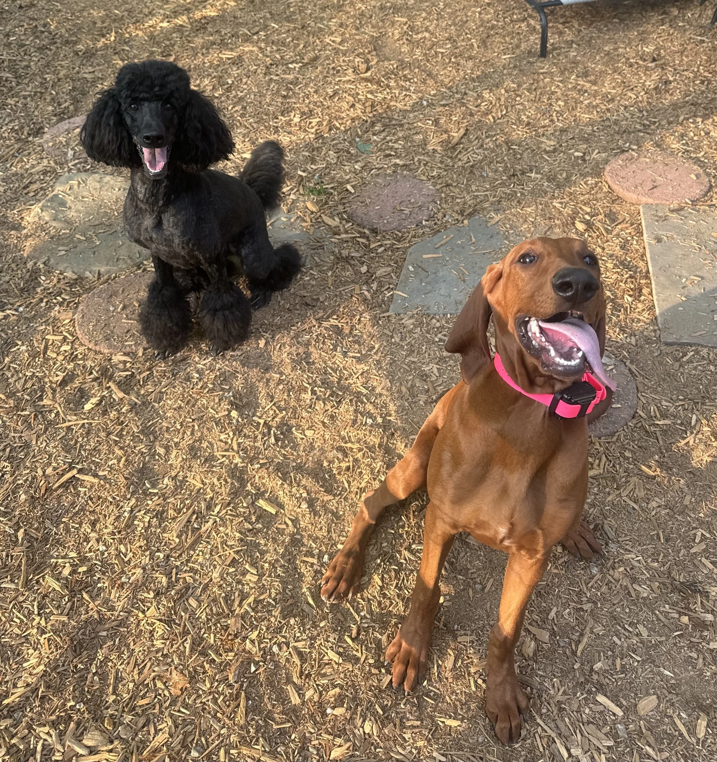 Salem and Annie Smiling.jpg
