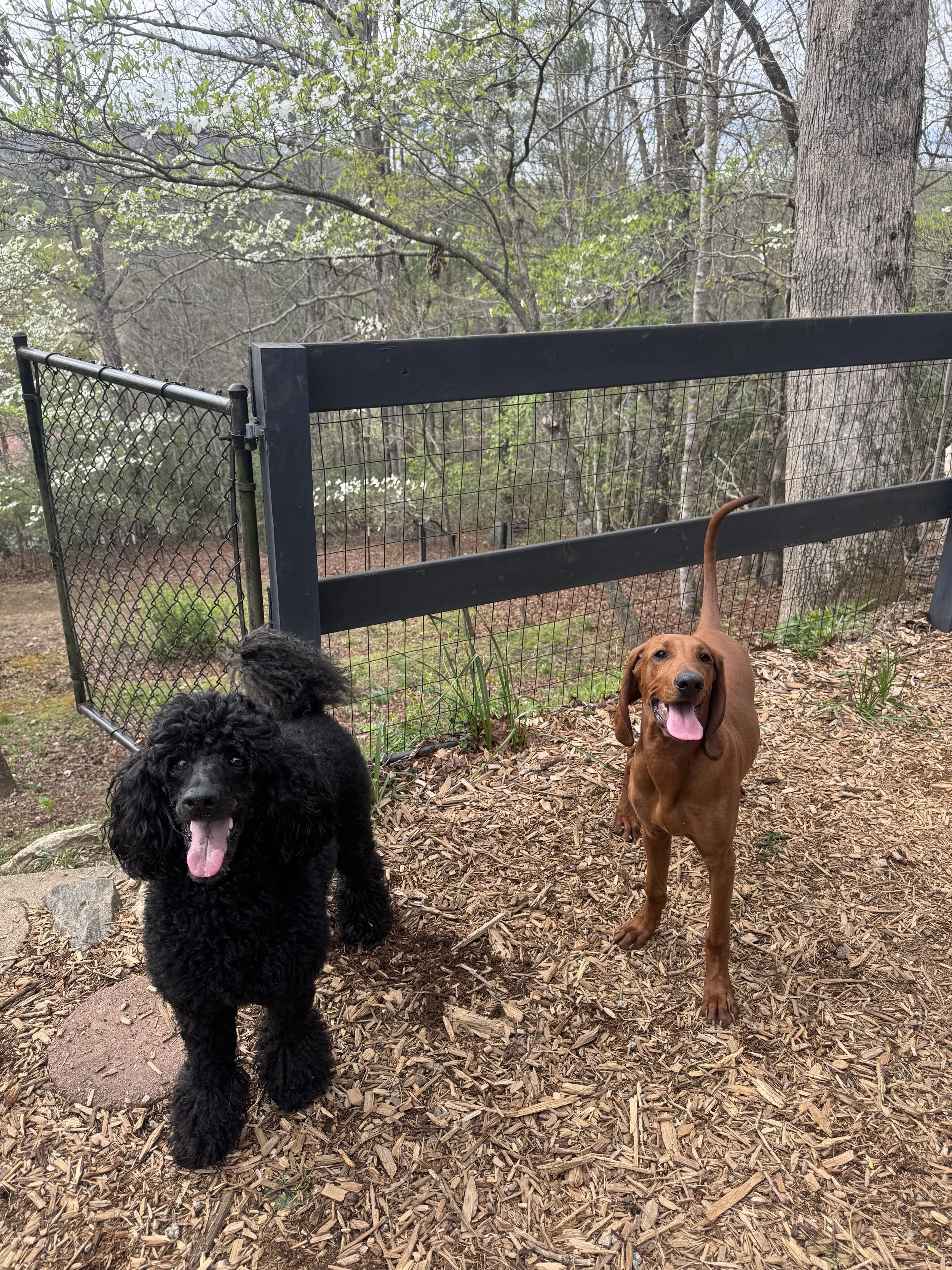 Annie and Salem Smiling.jpg