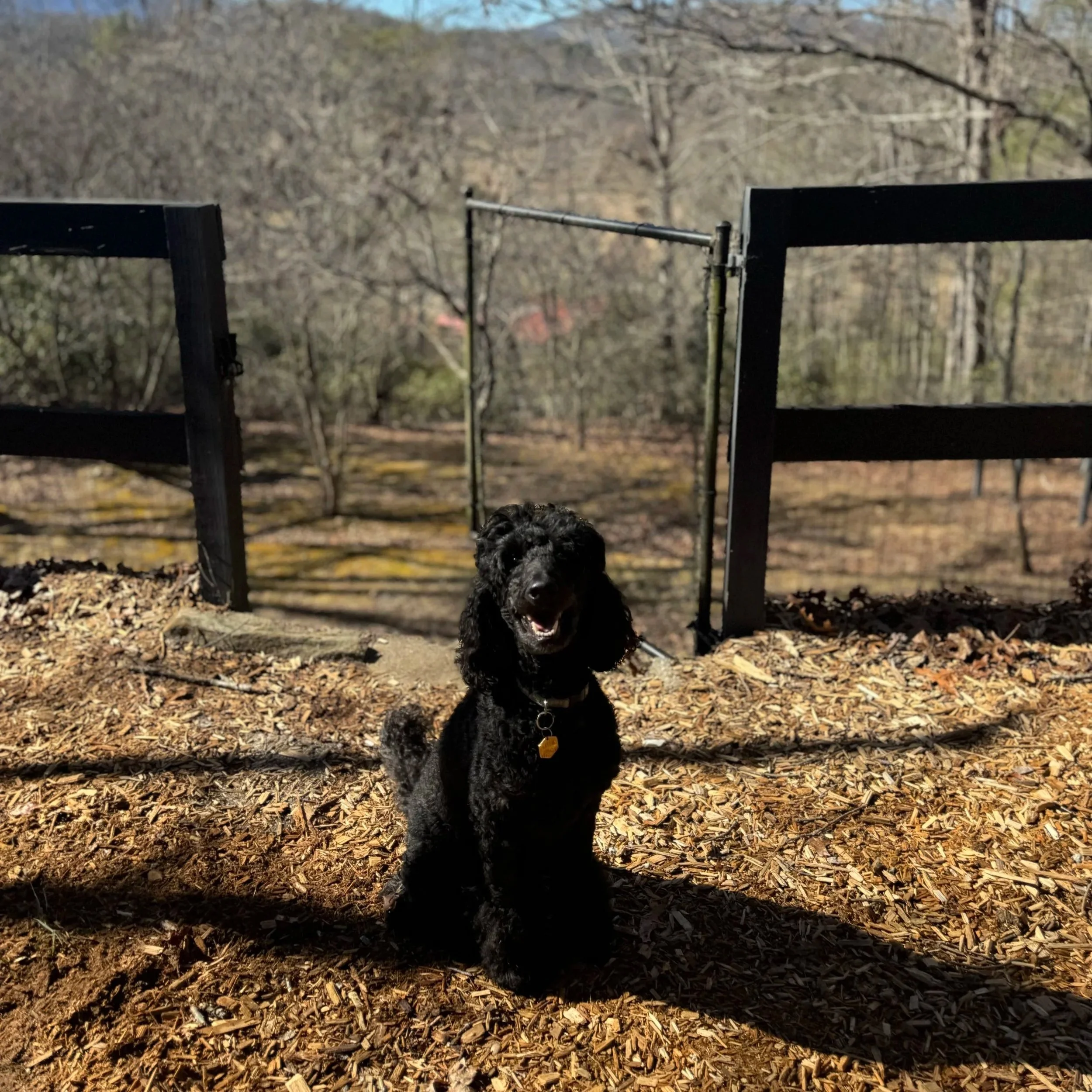 Grooming and Add-Ons