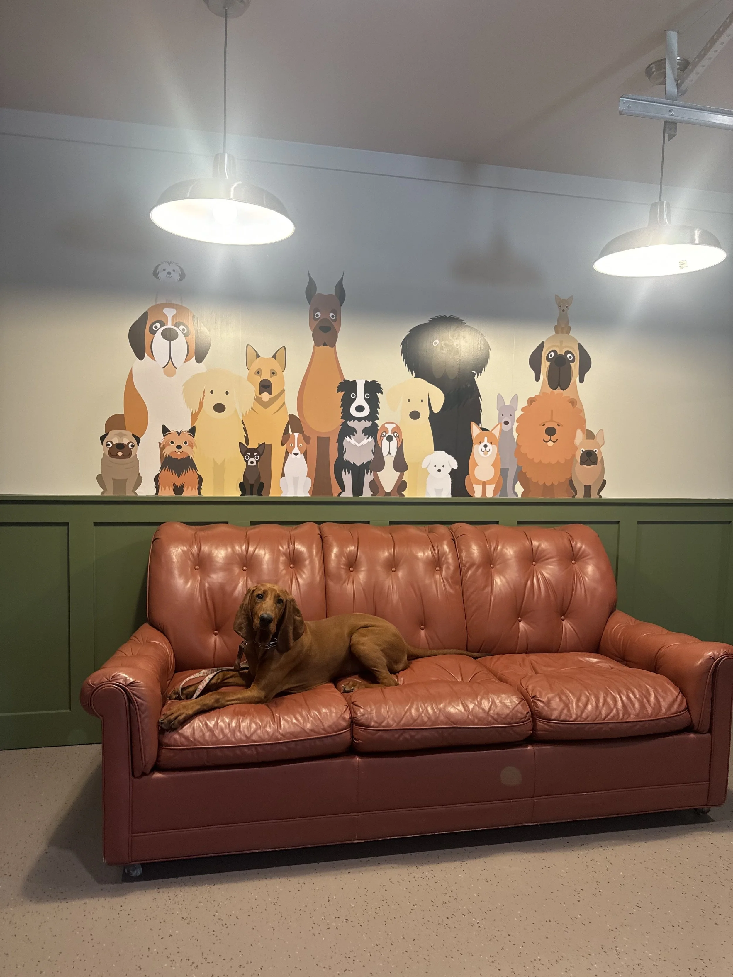 Annie Mural.jpg