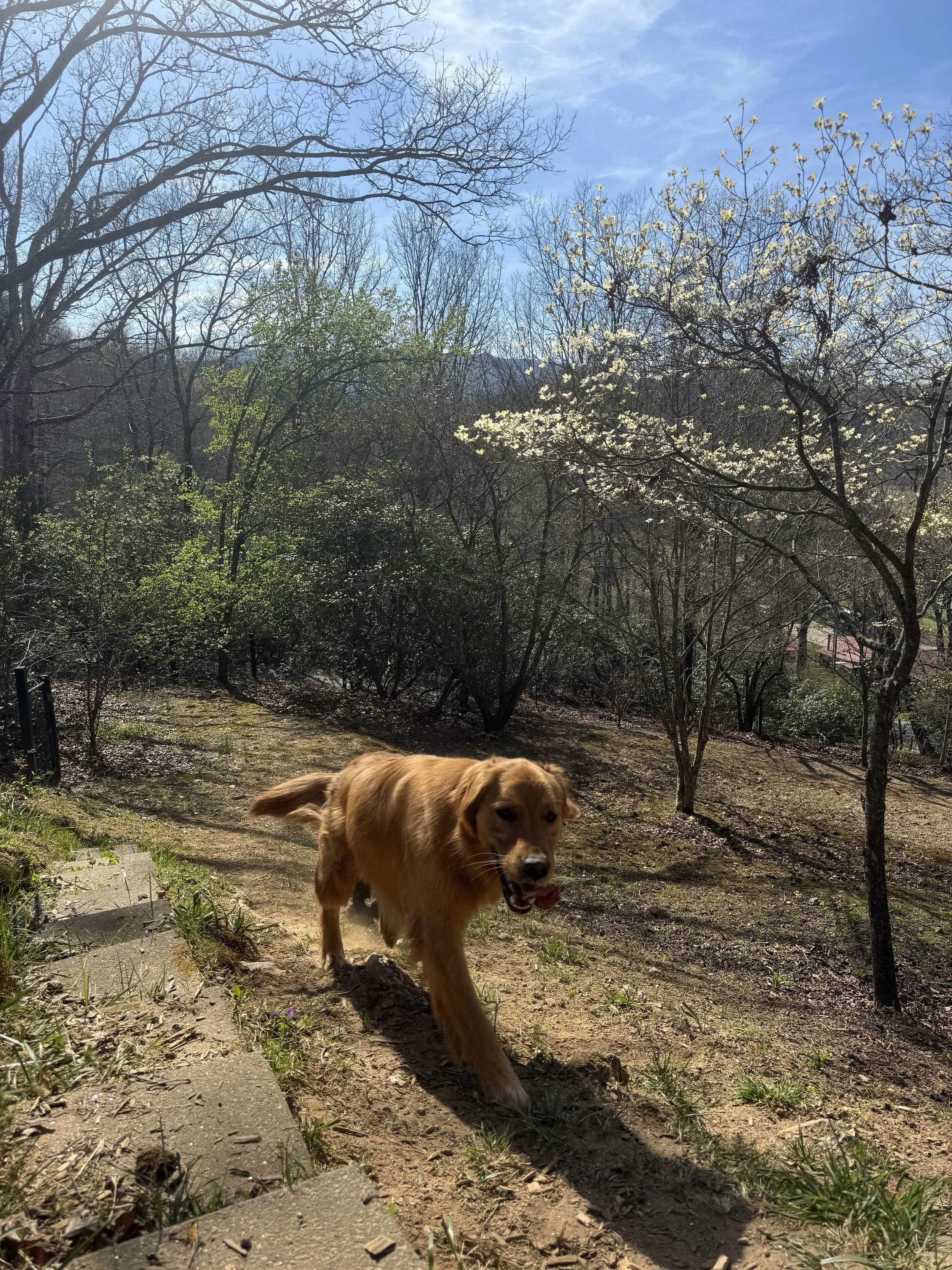 River Happy Yard.jpg