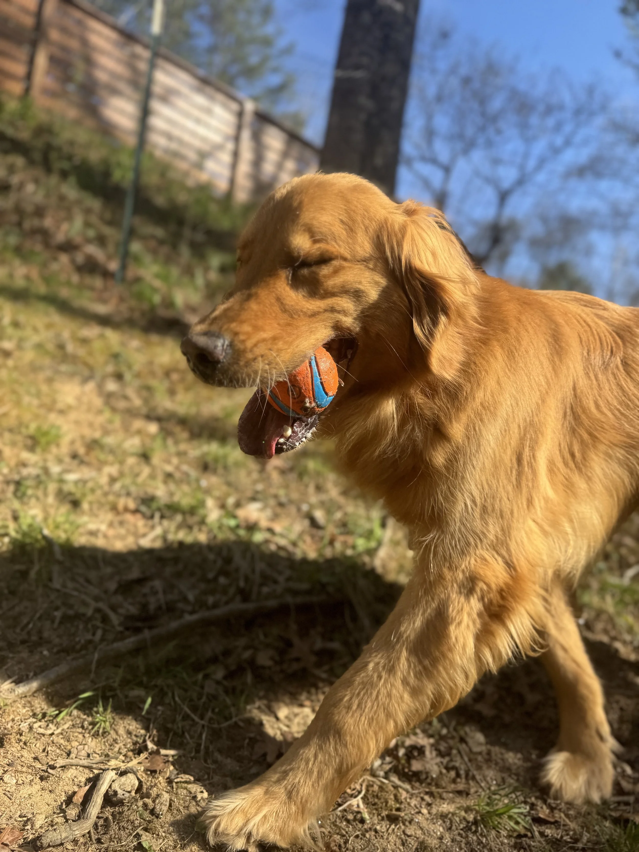 River Ball.jpg