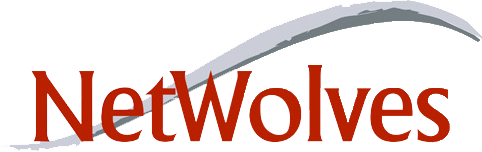 Security Professional Services