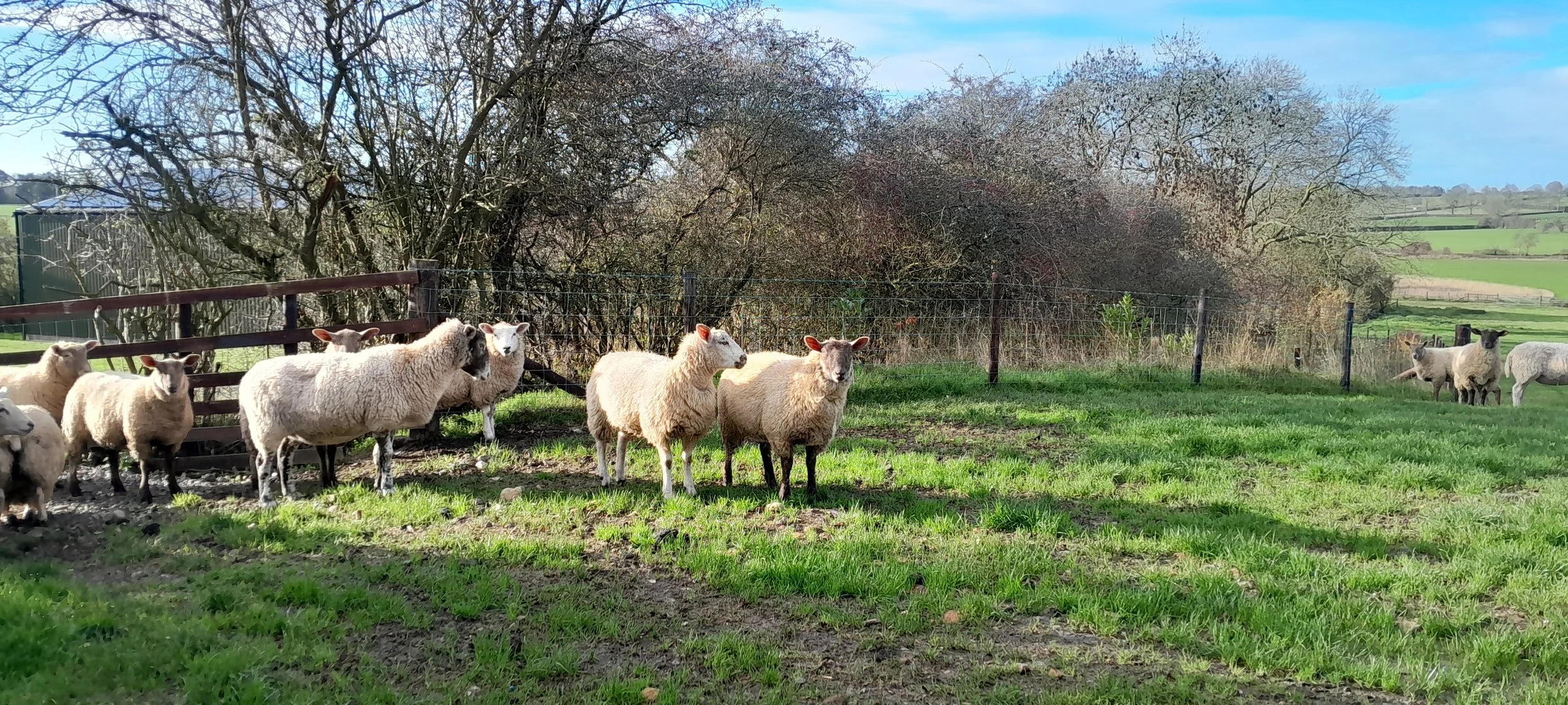 Forage Walk