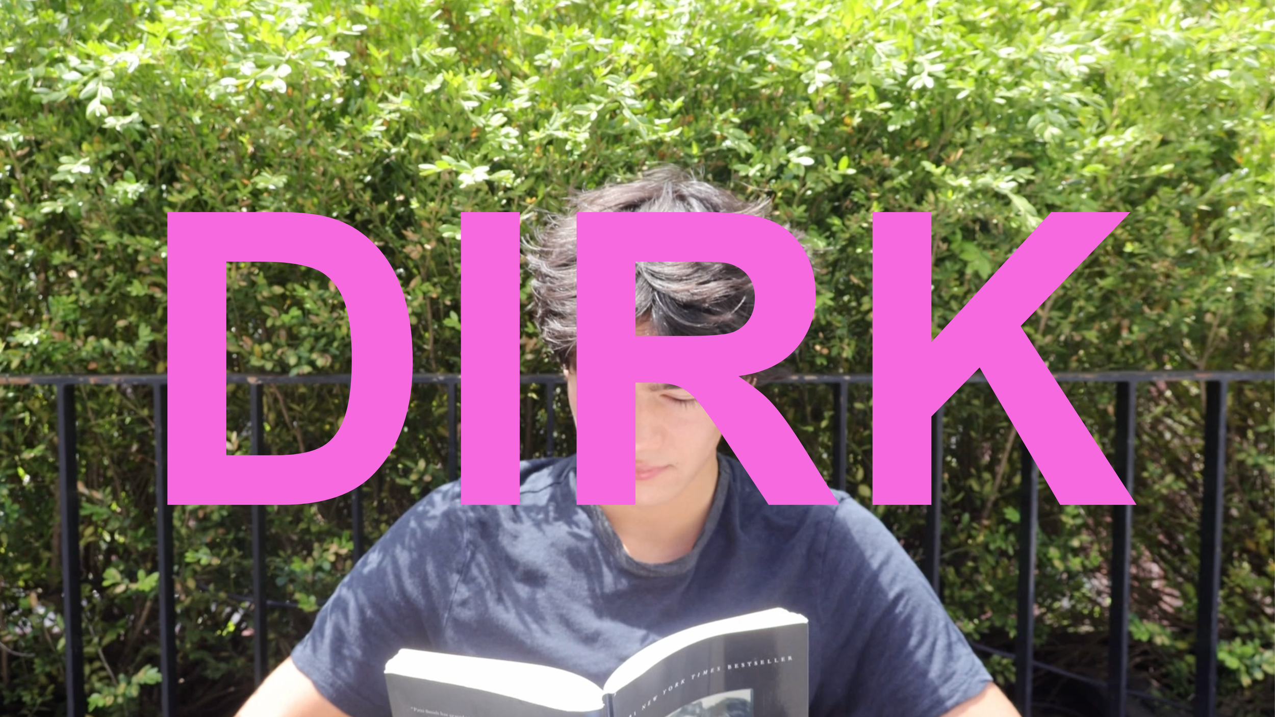 Person with short gray hair reading a book outdoors, behind a black metal fence with green bushes in the background, and large pink letters spelling DIRK overlaying the image.