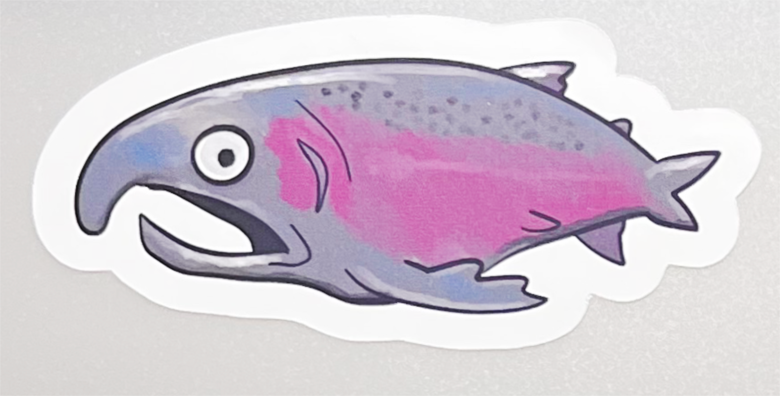 salmon photo.png